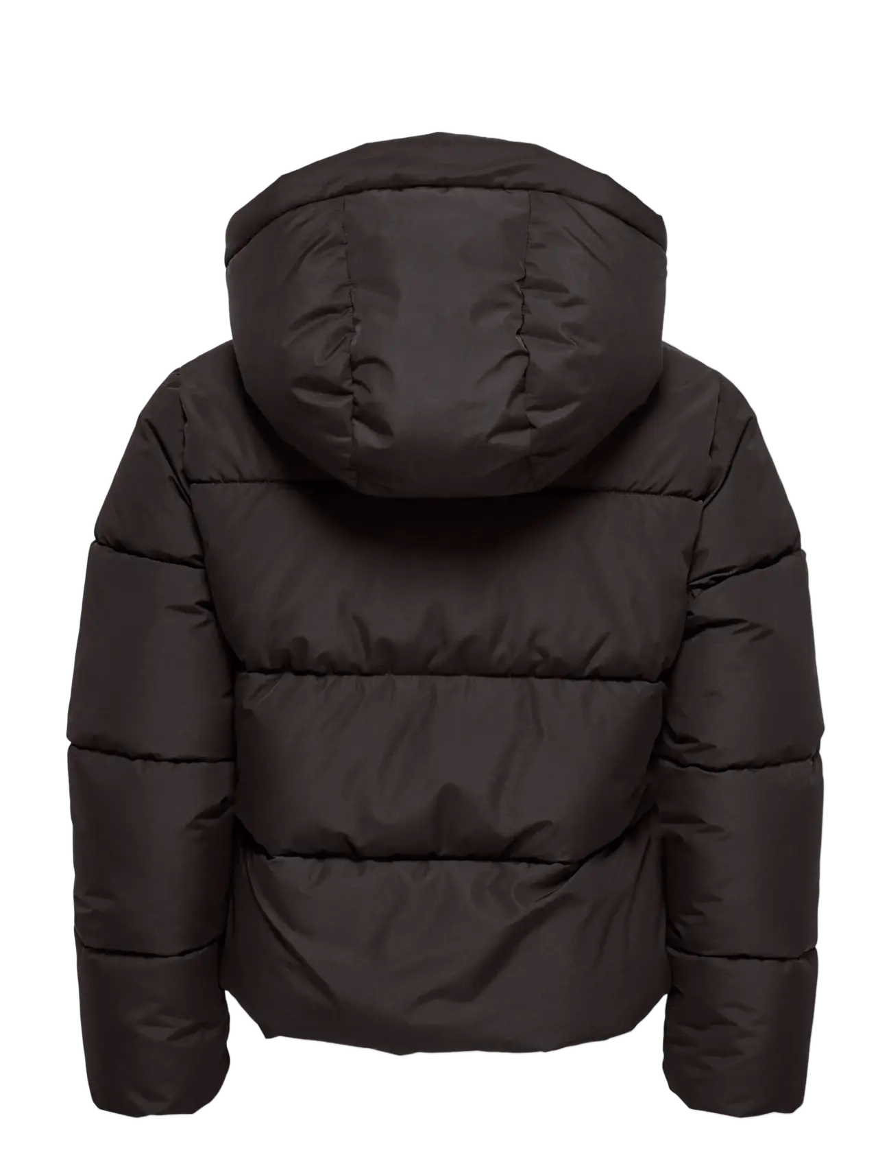 Kids Only - KOGJUTA LIFE SHORT PUFFER OTW NOOS - winterjacke - chocolate torte - 2