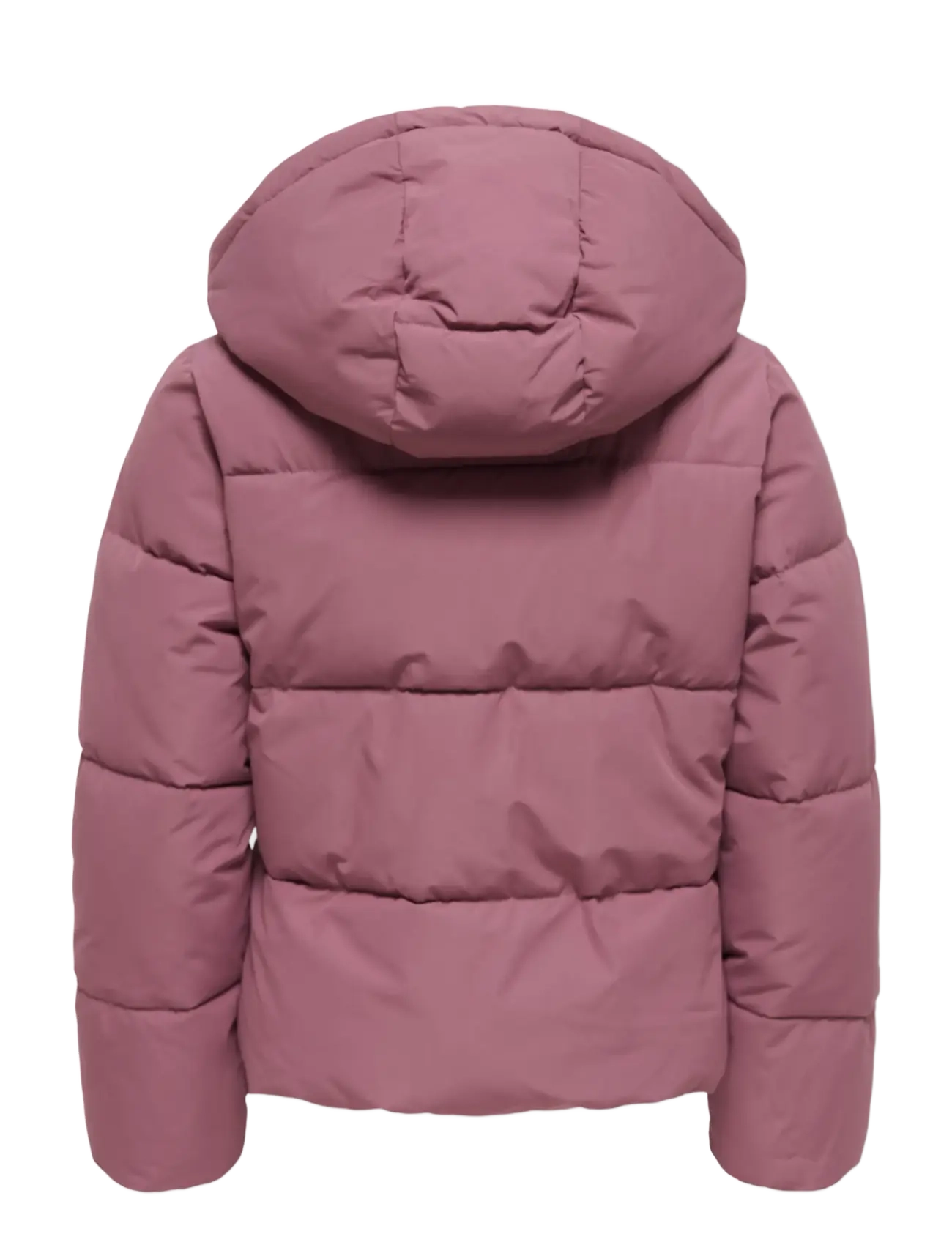 Kids Only - KOGJUTA LIFE SHORT PUFFER OTW NOOS - vinterjackor - rose brown - 2