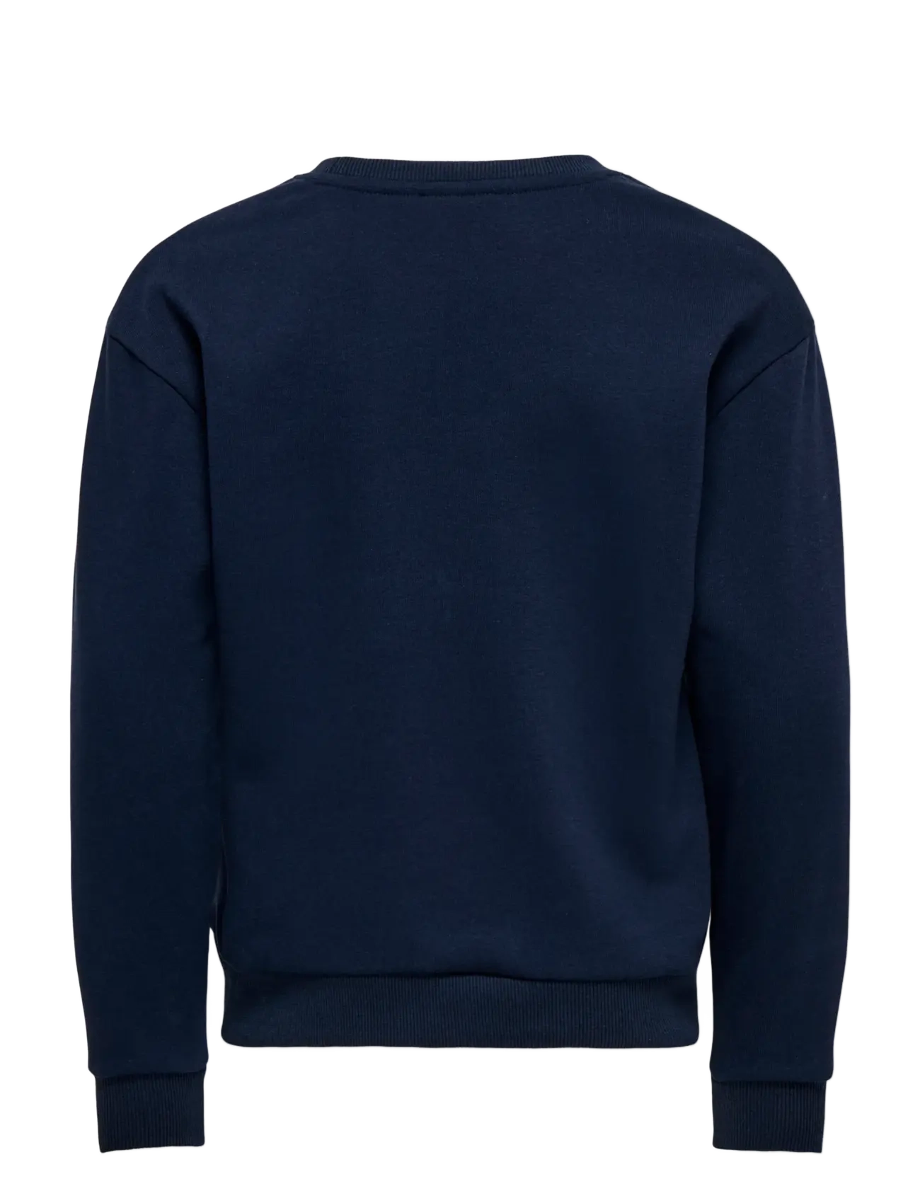 Kids Only - KOGANNI LIFE LEO/EMB L/S O-NECK FR SWT - sweatshirts - navy blazer - 1