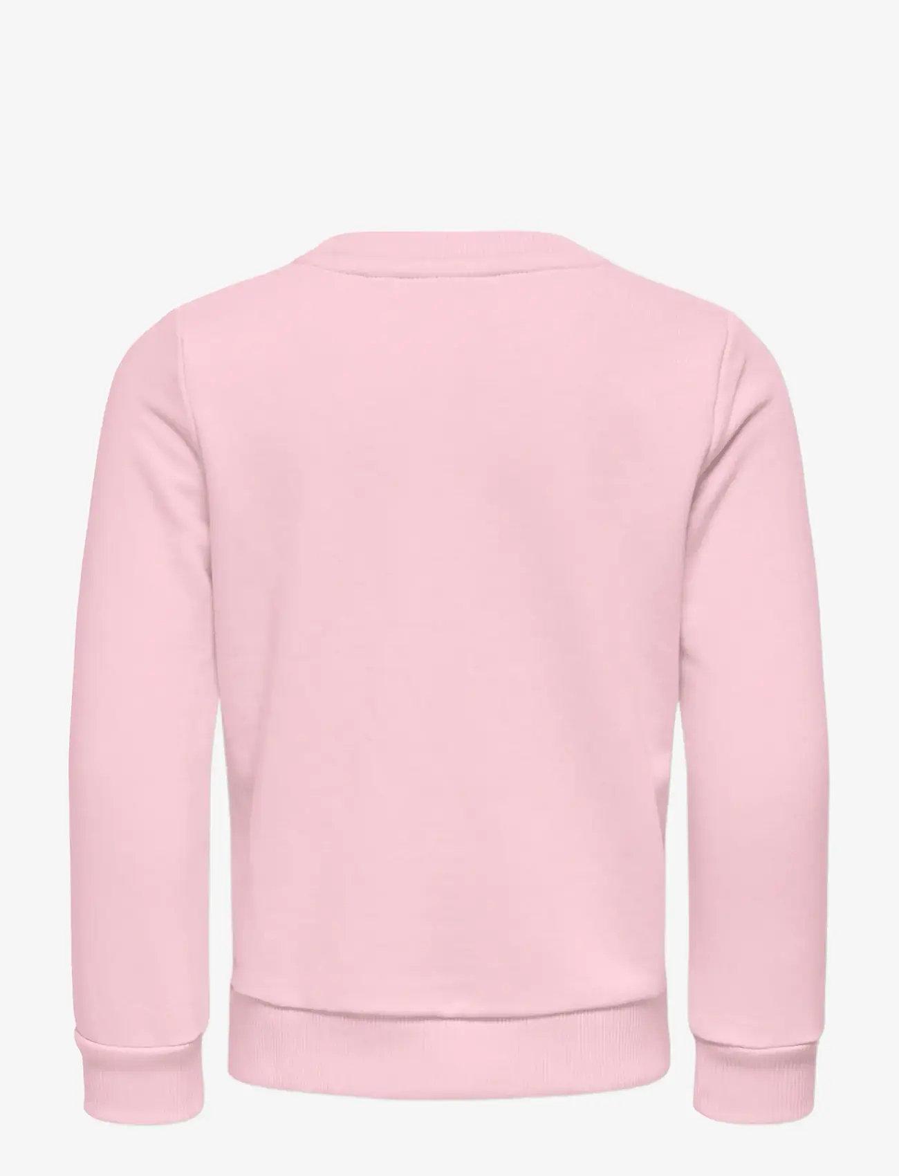 Kids Only - KMGGINNIE LS REG PRINT UB SWT - sweatshirts - ballet slipper - 1