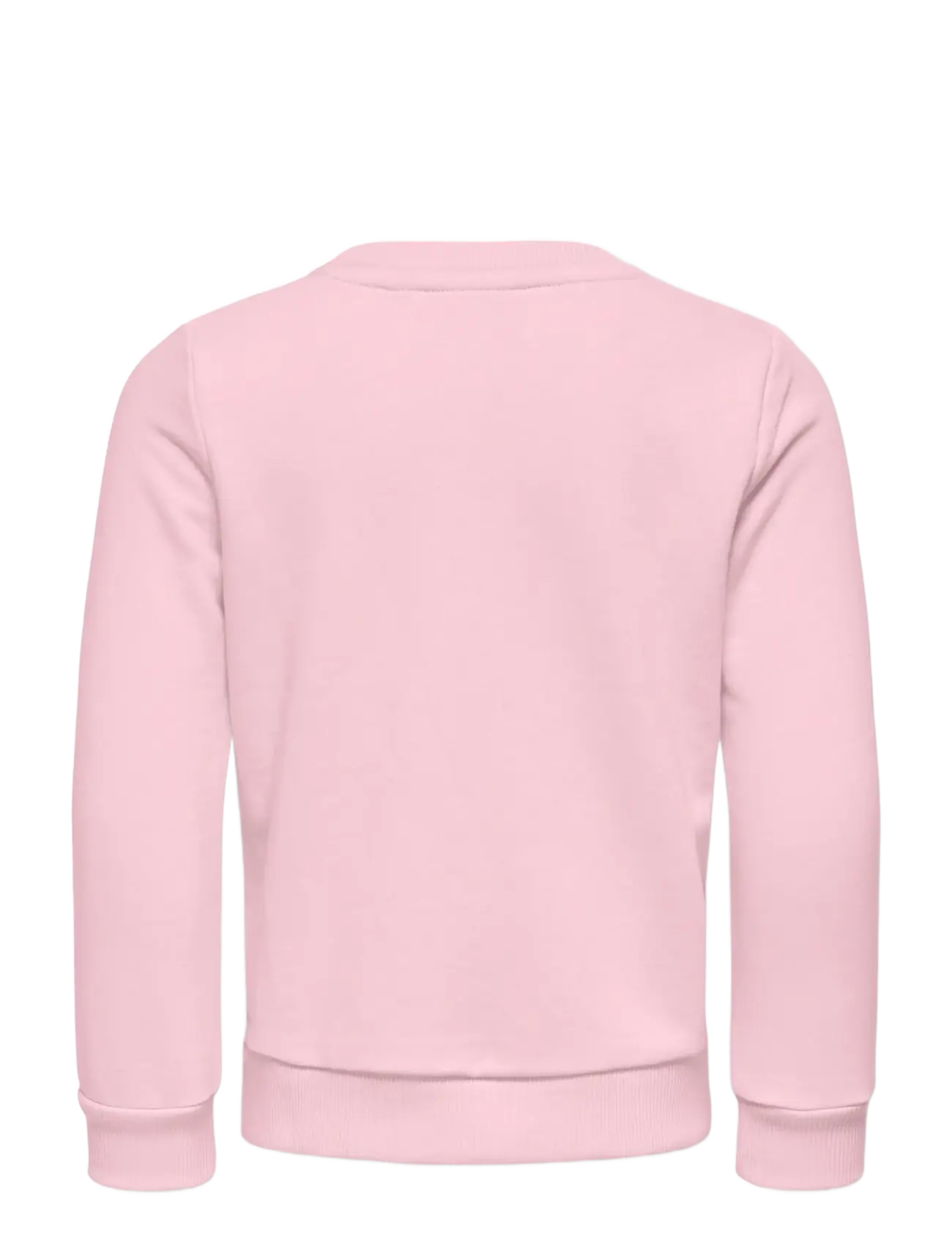 Kids Only - KMGGINNIE LS REG PRINT UB SWT - sweatshirts - ballet slipper - 1