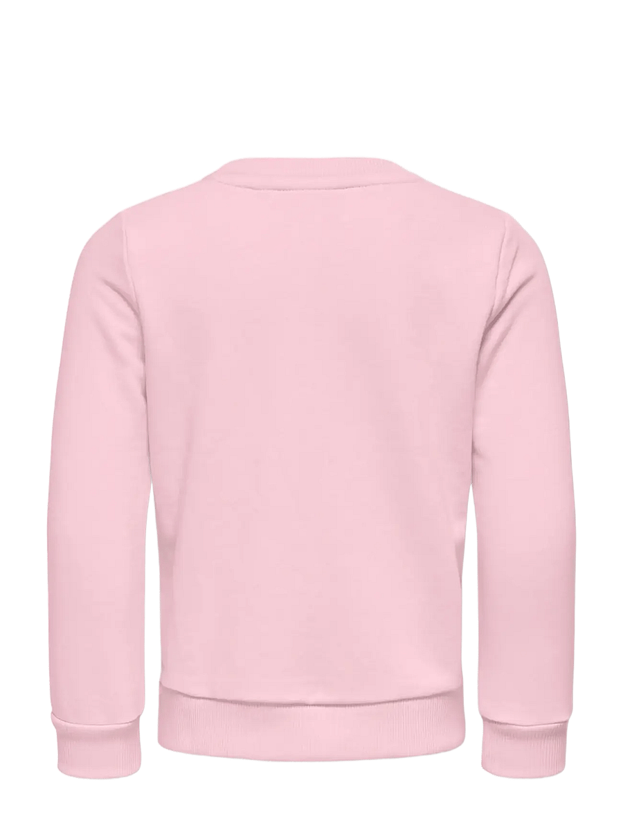 Kids Only - KMGGINNIE LS REG PRINT UB SWT - sweatshirts - ballet slipper - 1