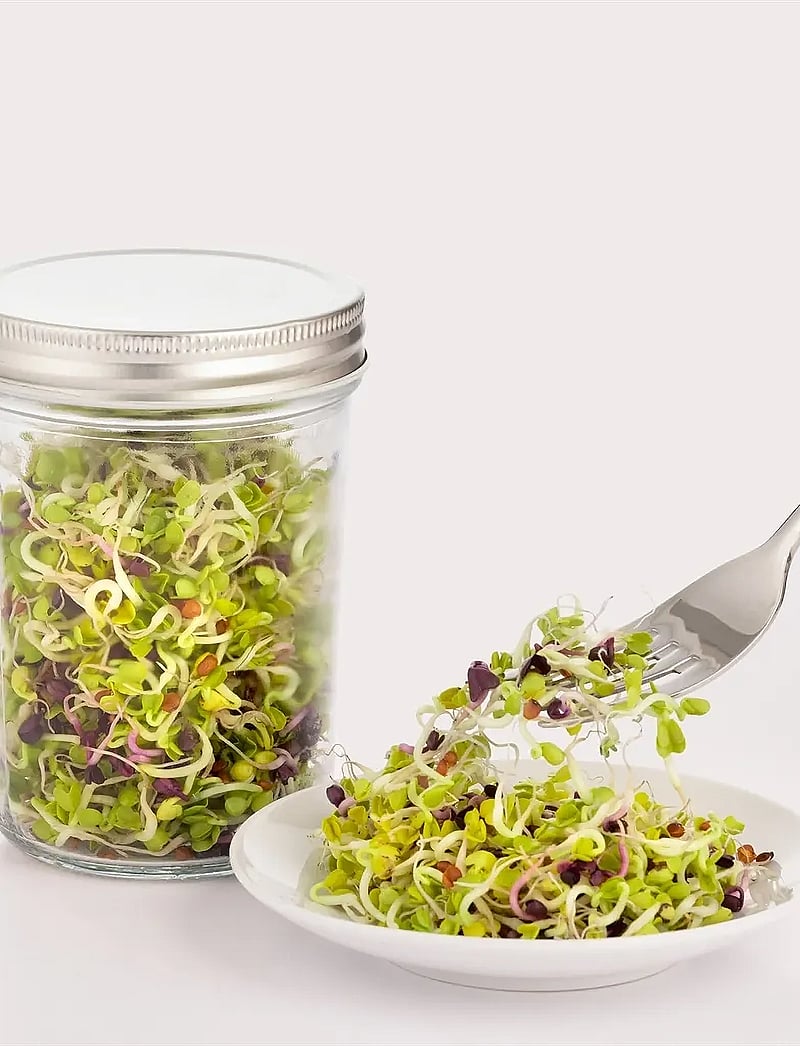 Kilner - Sprouting set Kilner® - kingitused alla 50€ - grey - clear - silver - 1