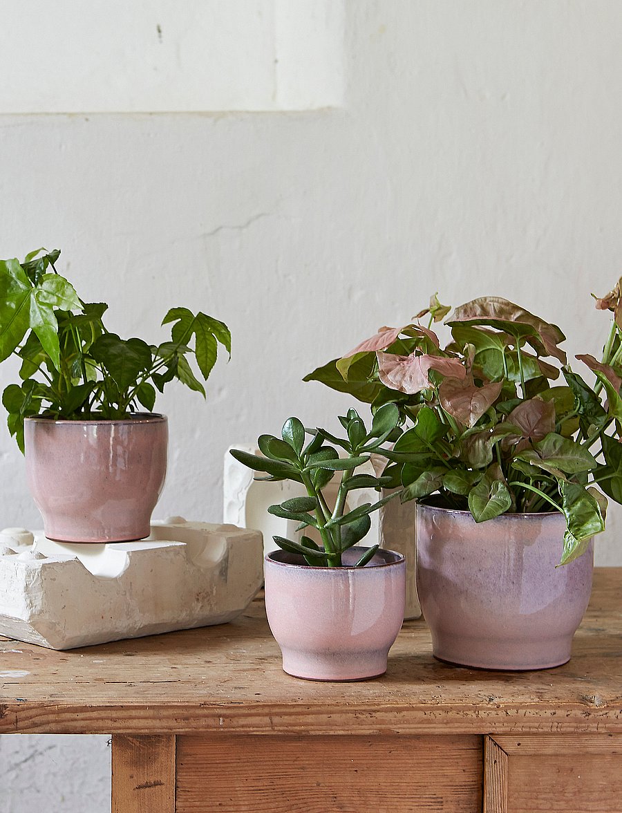Knabstrup Keramik - Knabstrup örtkruka Ø 16.5 cm rose - die niedrigsten preise - pink - 1
