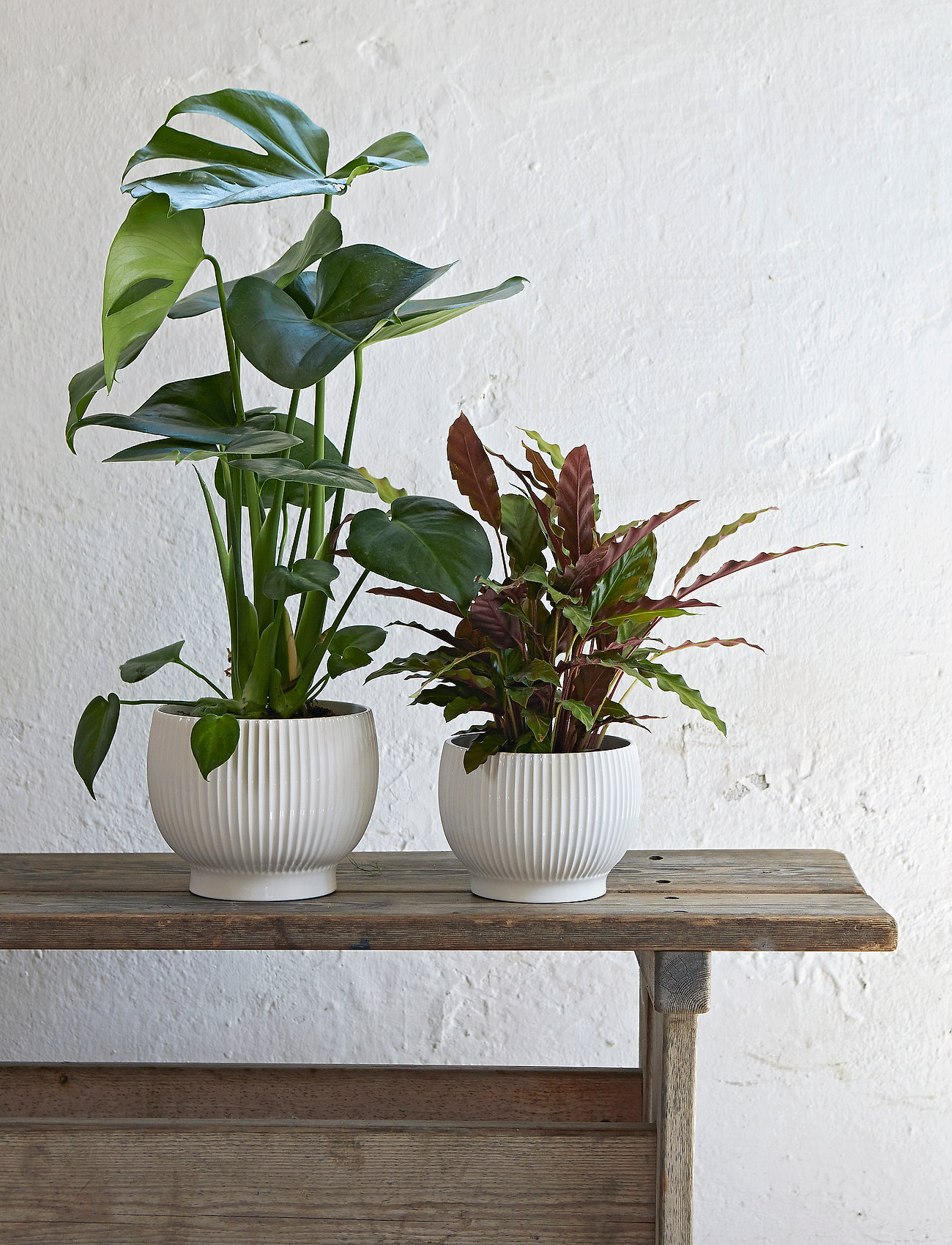 Knabstrup Keramik - Knabstrup flowerpot - white - 1