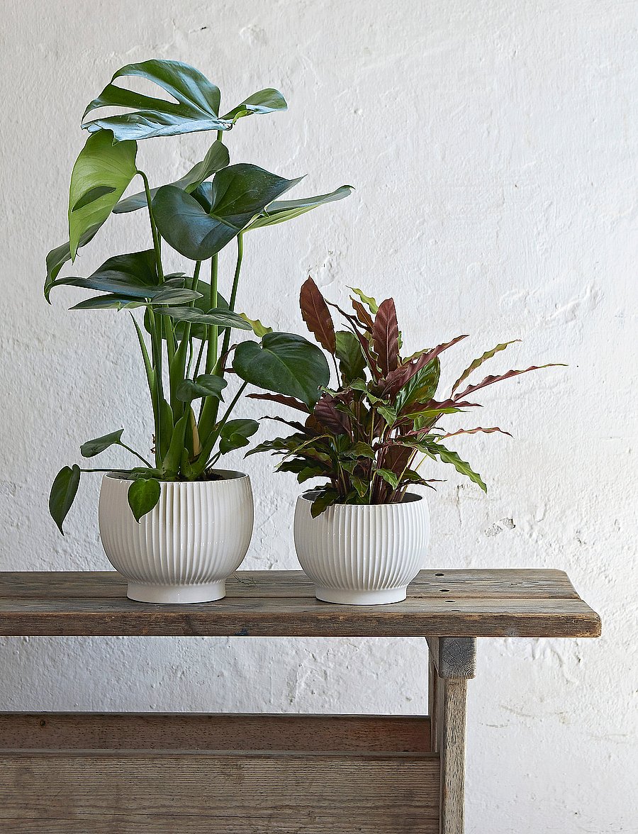 Knabstrup Keramik - Knabstrup flowerpot - white - 1