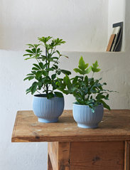 Knabstrup Keramik - Knabstrup flowerpot - najniższe ceny - lavender blue - 1