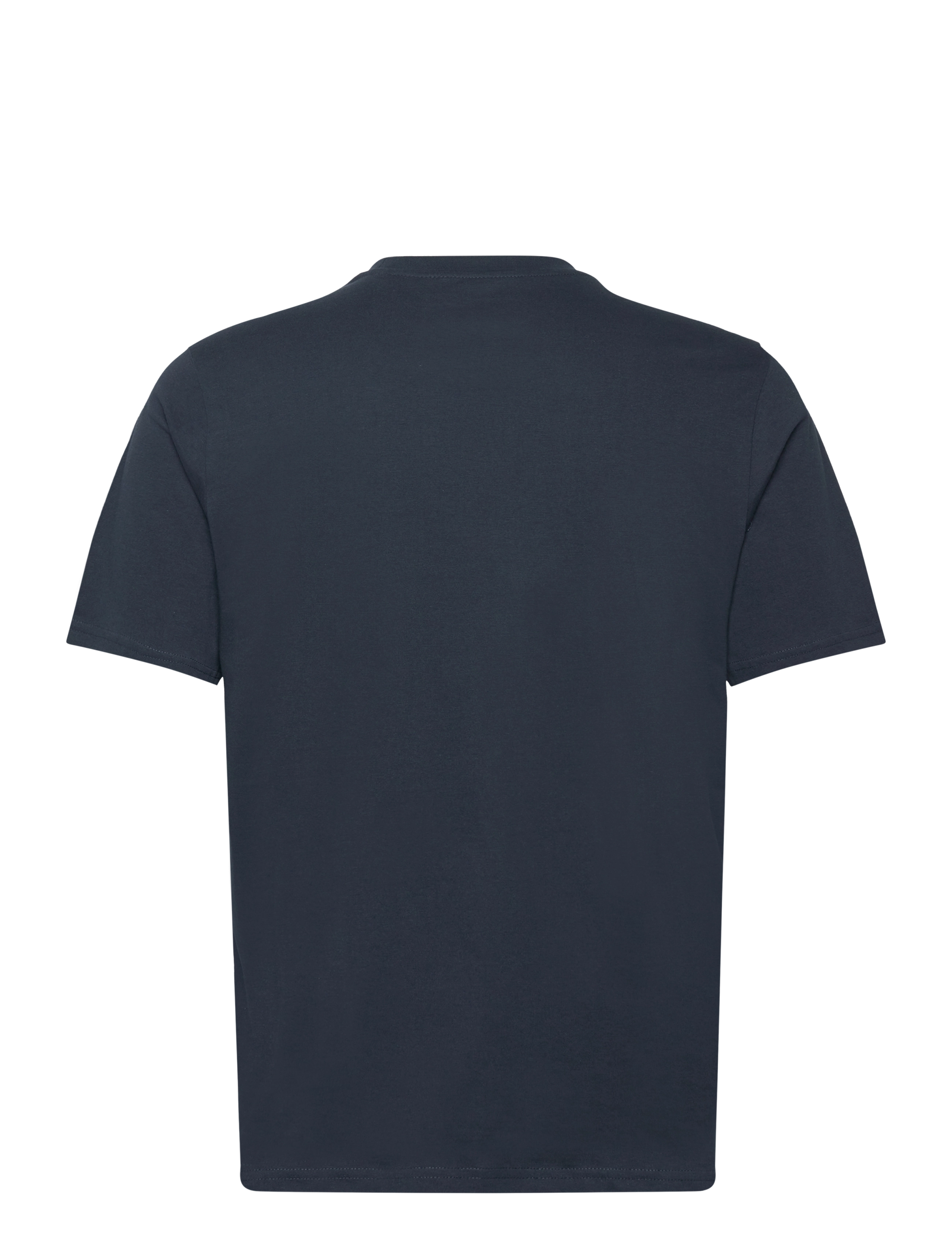Knowledge Cotton Apparel - Regular fit mountain t-shirt - Rege - total eclipse - 1