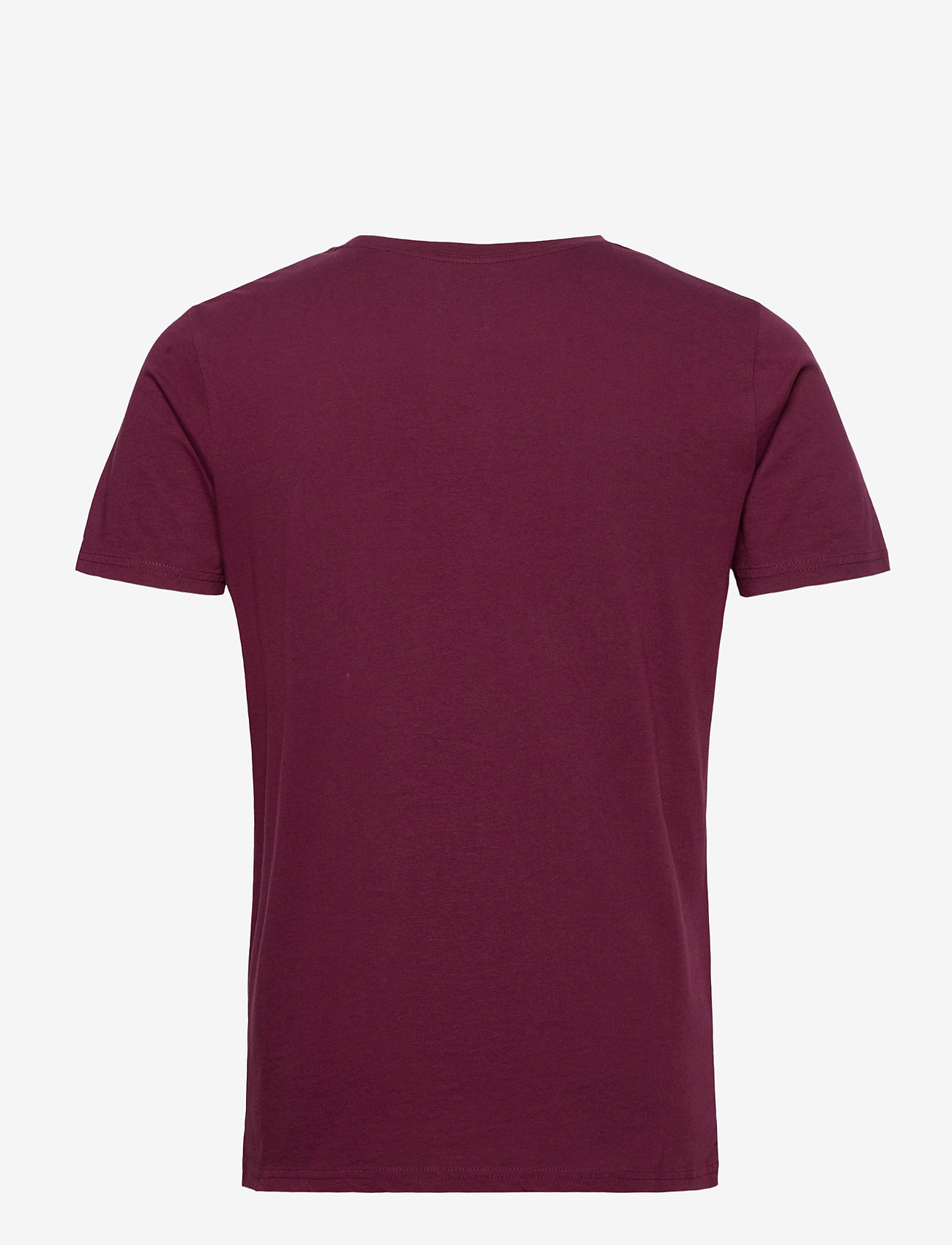 Knowledge Cotton Apparel - Knowledge printed O-Neck Tee - GOTS - fig - 1