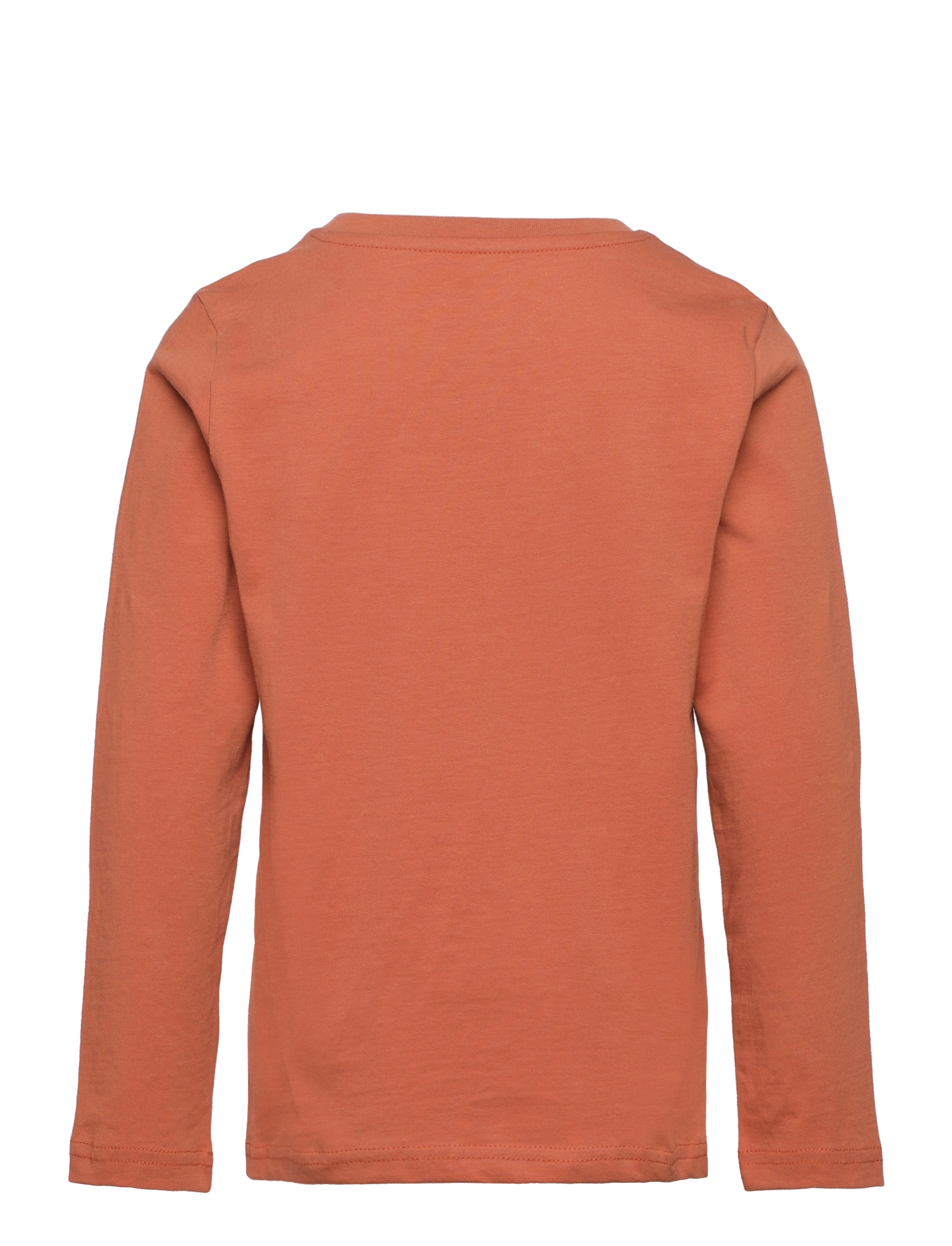 Knowledge Cotton Apparel - Owl long sleeve t-shirt - GOTS/Vega - autumn leaf - 1