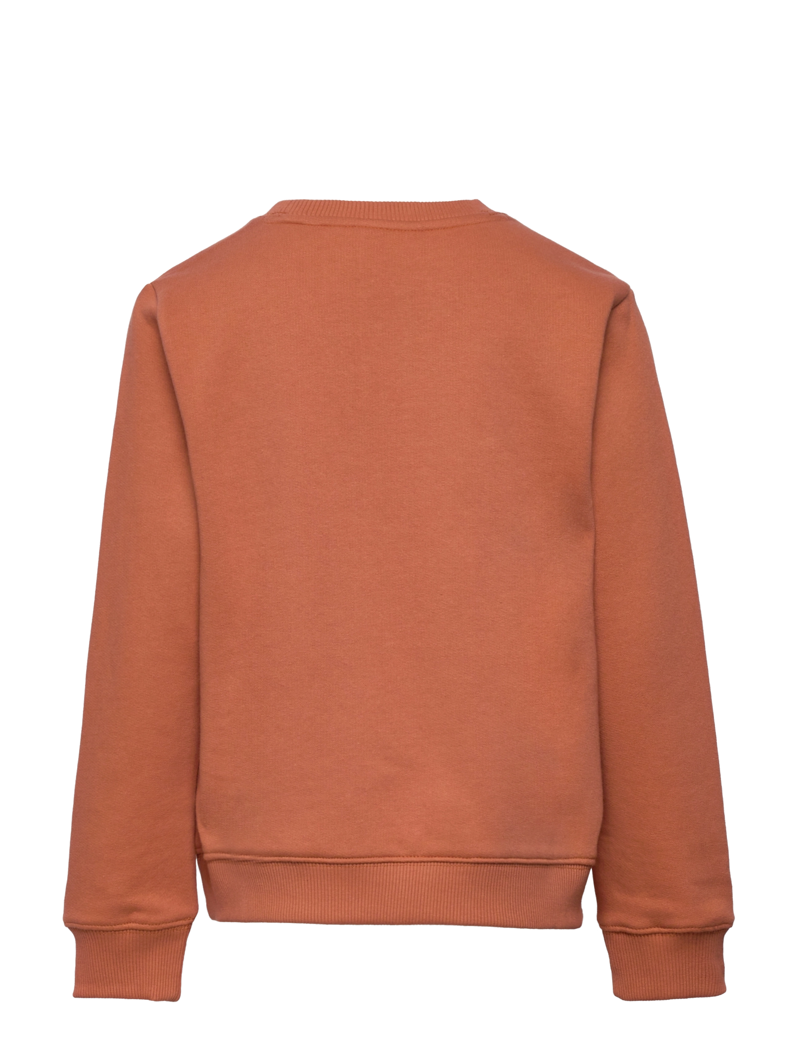 Knowledge Cotton Apparel - Owl sweat - GOTS/Vegan - autumn leaf - 1