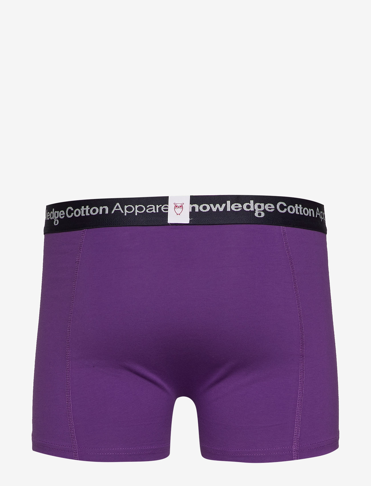 Knowledge Cotton Apparel - MAPLE 1 pack color underwear - GOTS - royal purple - 1