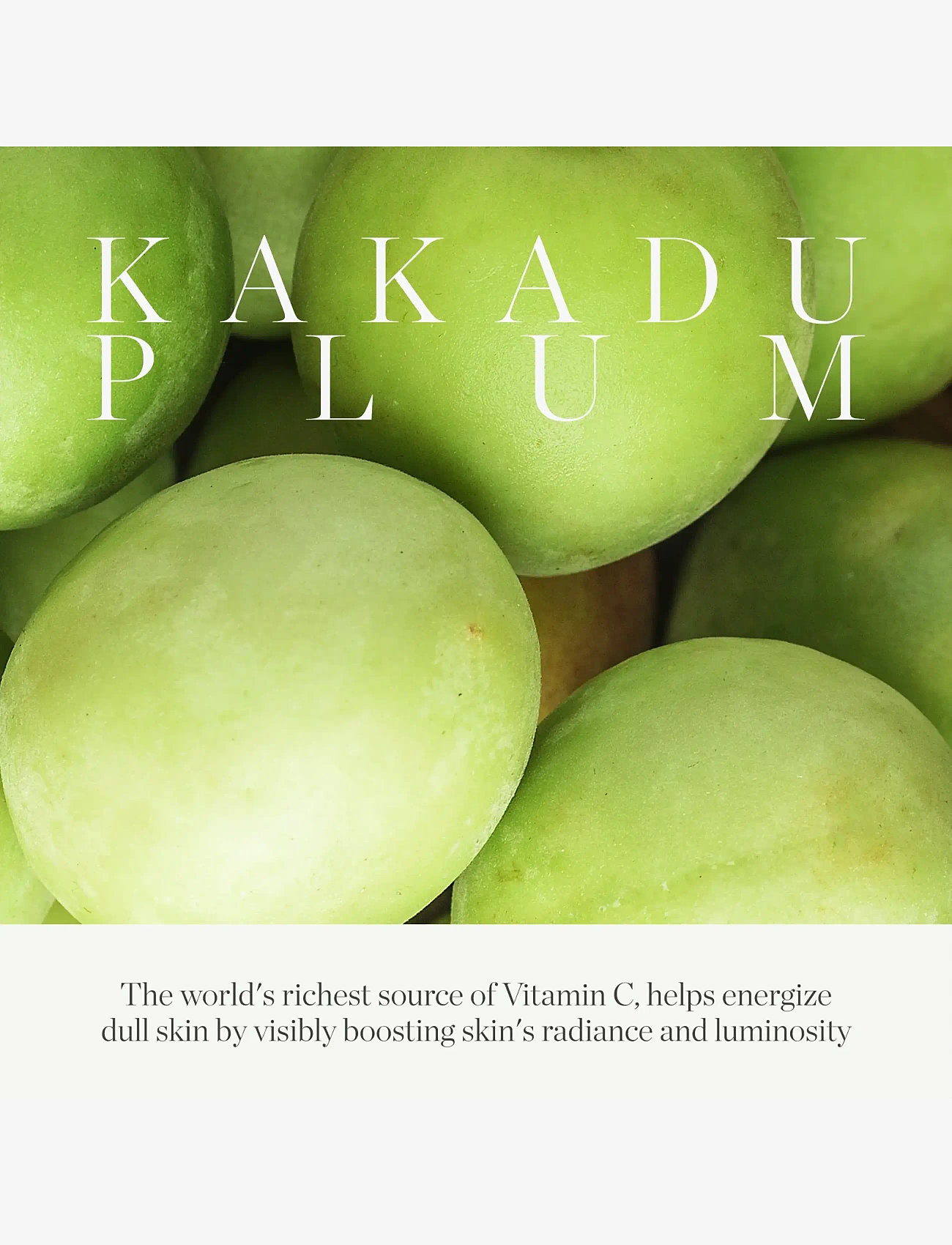 Kora Organics - Kakadu Plum Vitamin C Eye Cream Refill 15 ml - Ögonkräm - no colour - 4