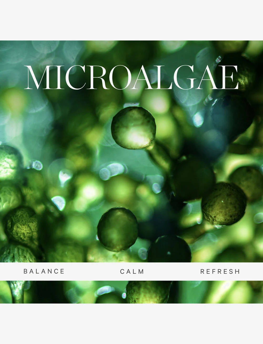 Kora Organics - Active Algae Lightweight Moisturizer 15ml - niisutajad - no color1 - 4