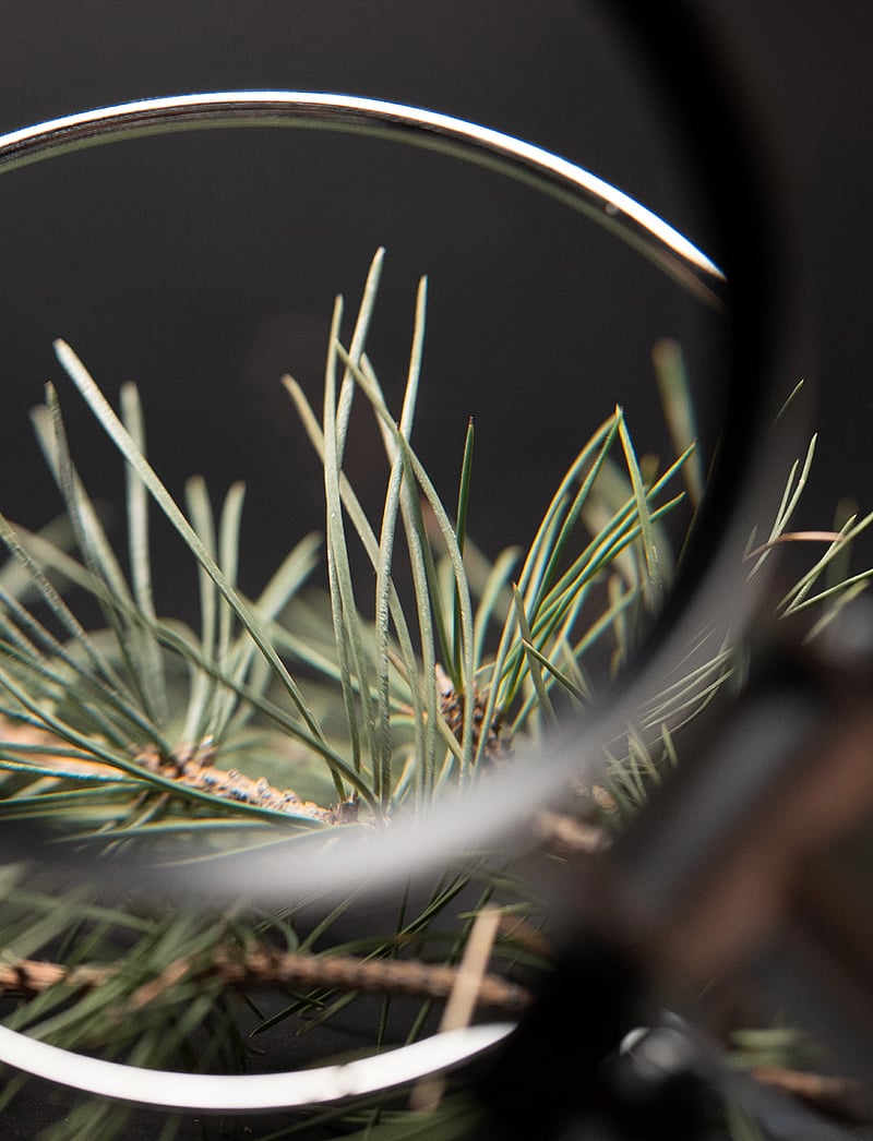 KORRES - Black Pine 4D Bounce Firming Moisturizer - päevakreemid - no color - 3