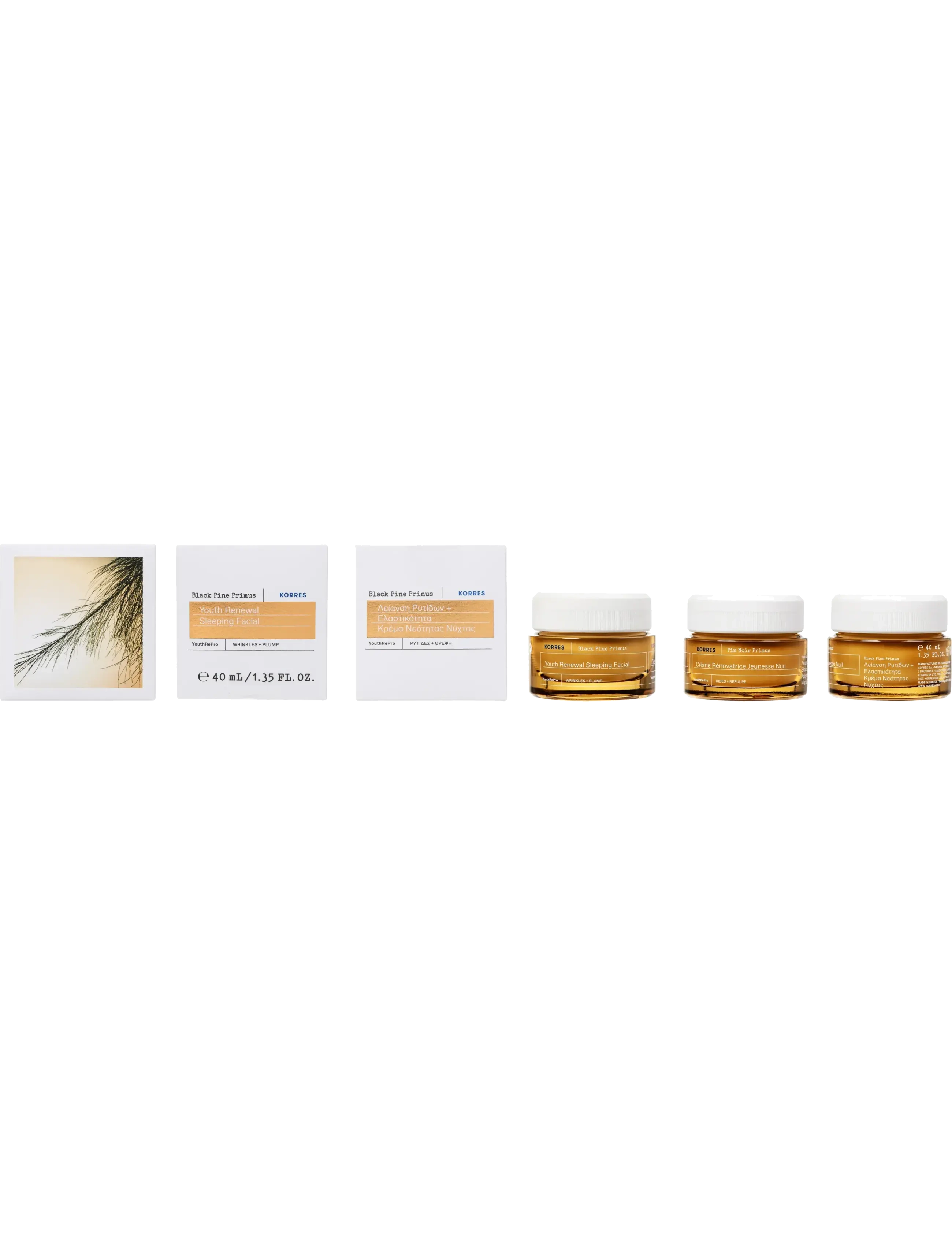 KORRES - Black Pine Primus Youth Renewal Sleeping Facial Night Cream - fugtpleje - no colour - 2
