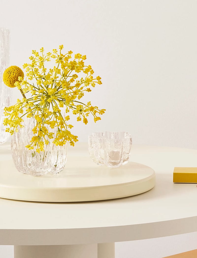 Kosta Boda - Crackle vase - vaasid - clear - 2