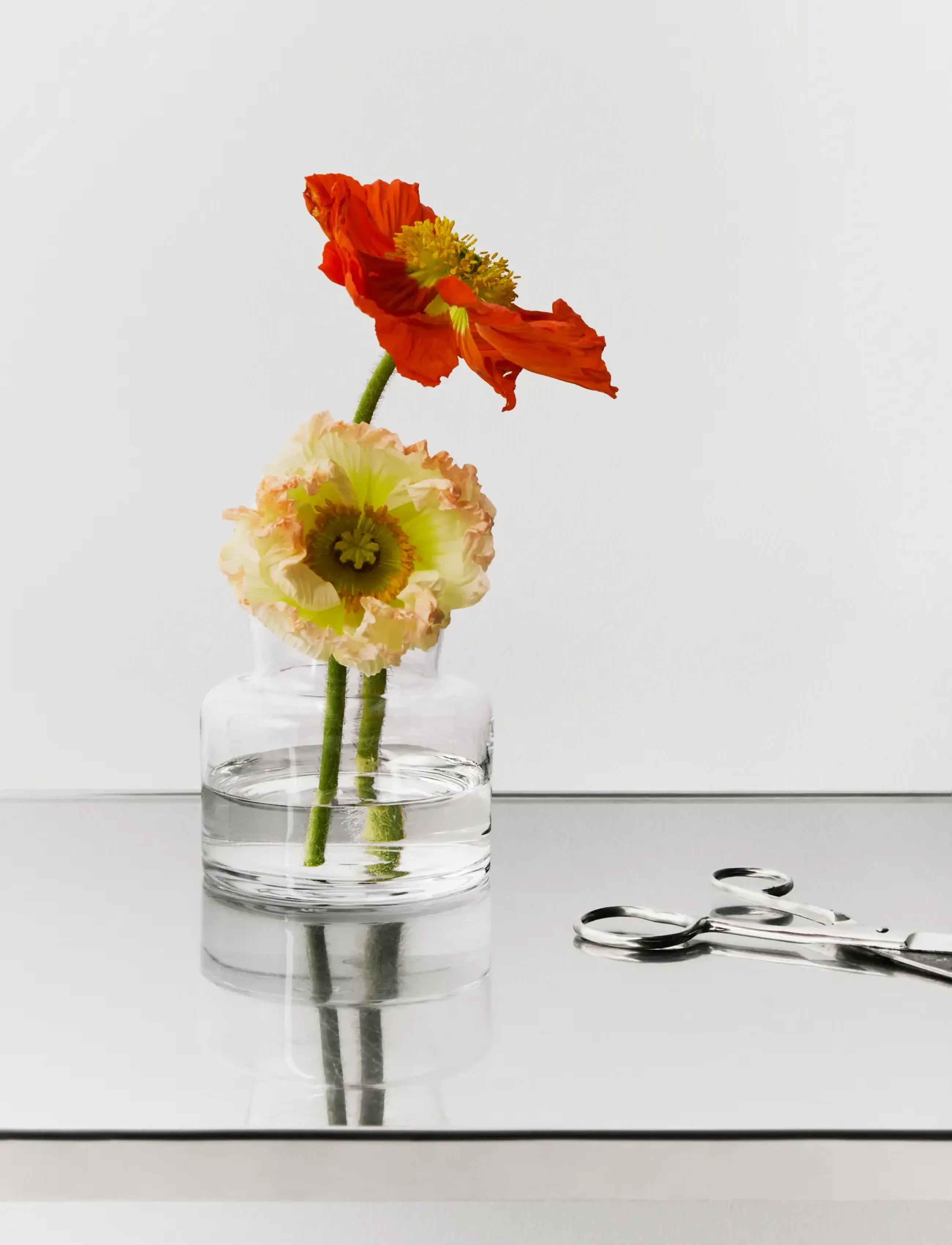 Kosta Boda - Meadow vas 115mm - vases - clear - 0