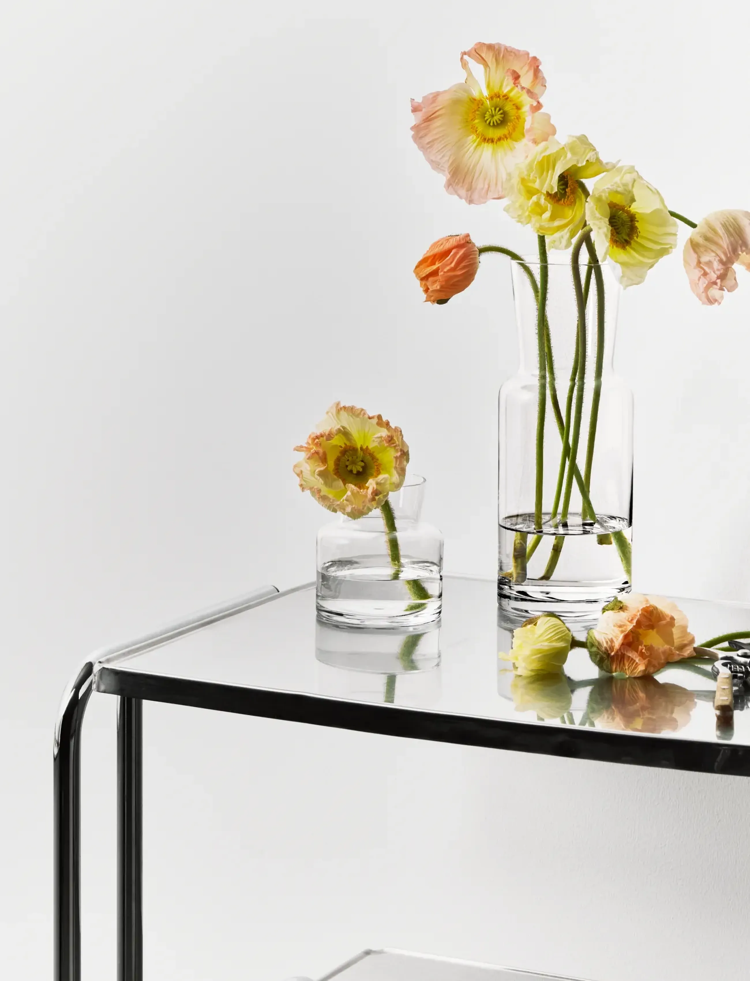 Kosta Boda - Meadow vas 115mm - vases - clear - 2