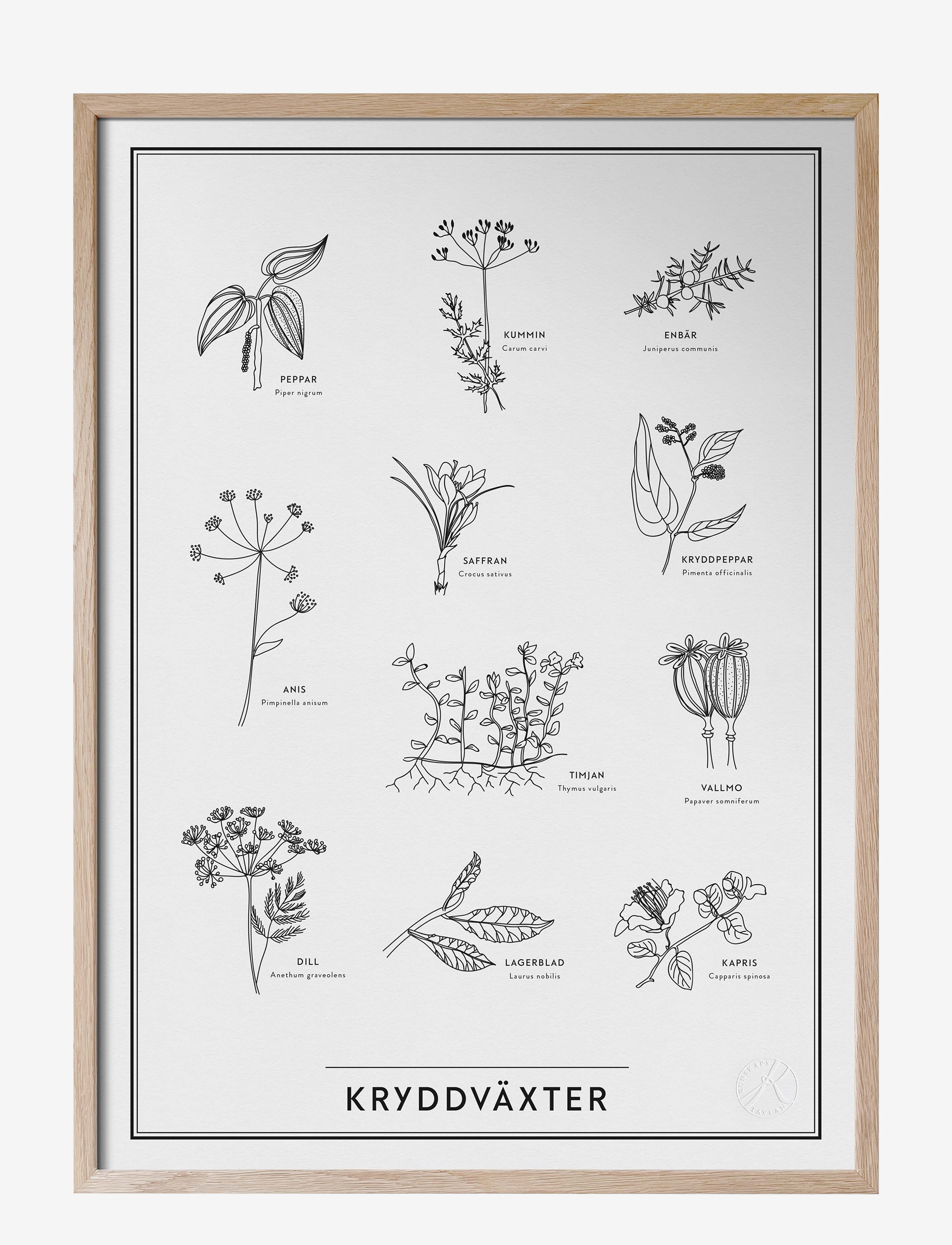 KUNSKAPSTAVLAN Kryddväxter Patterned - 30X40 - Unisex