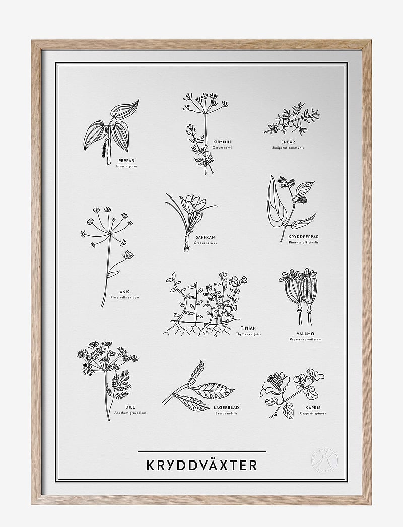 Kunskapstavlan® - Kryddväxter - natur - swedish - 0