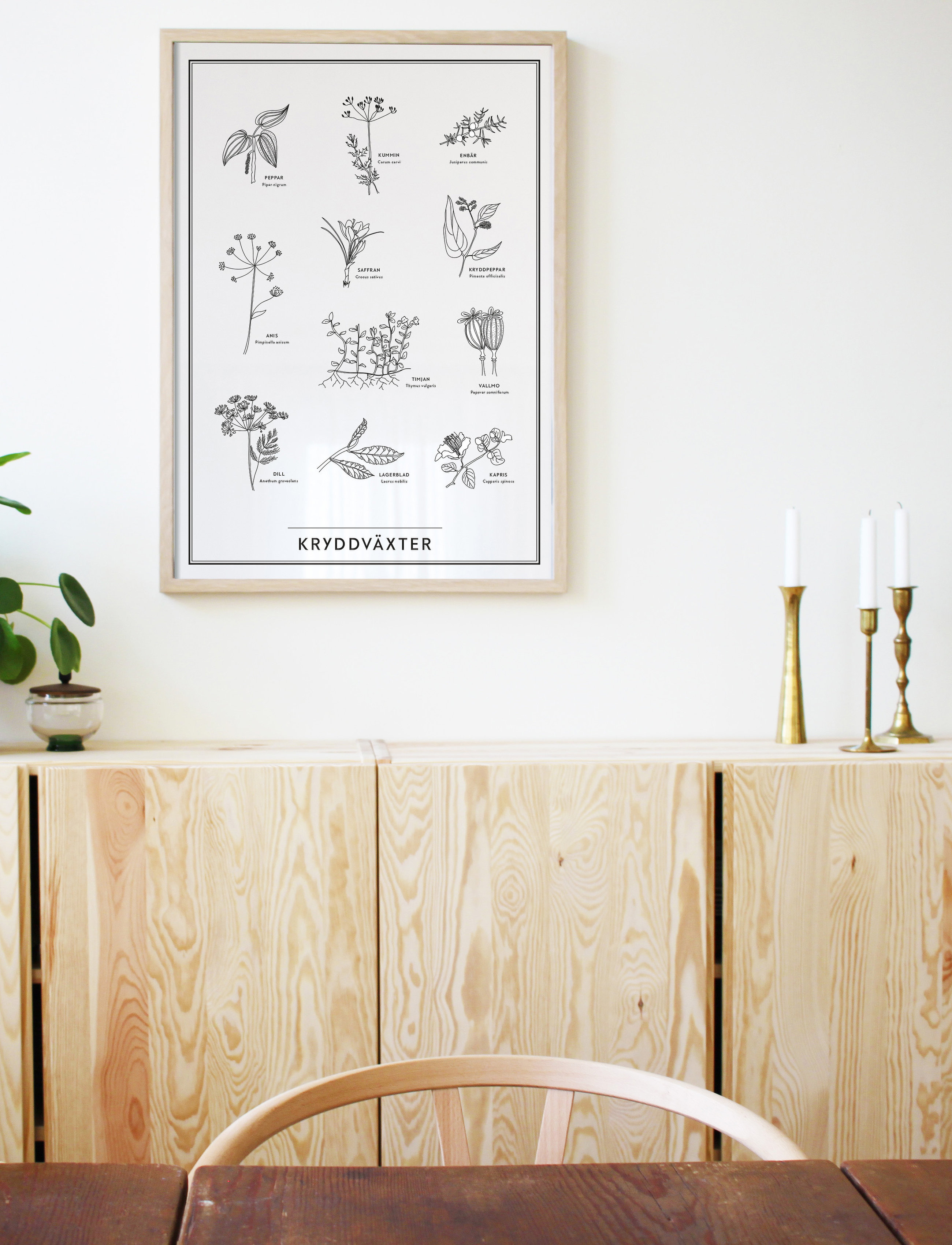 Kunskapstavlan Kryddväxter, 30X40, Posters, Mehrfarbig/gemustert - Nature, Homeware