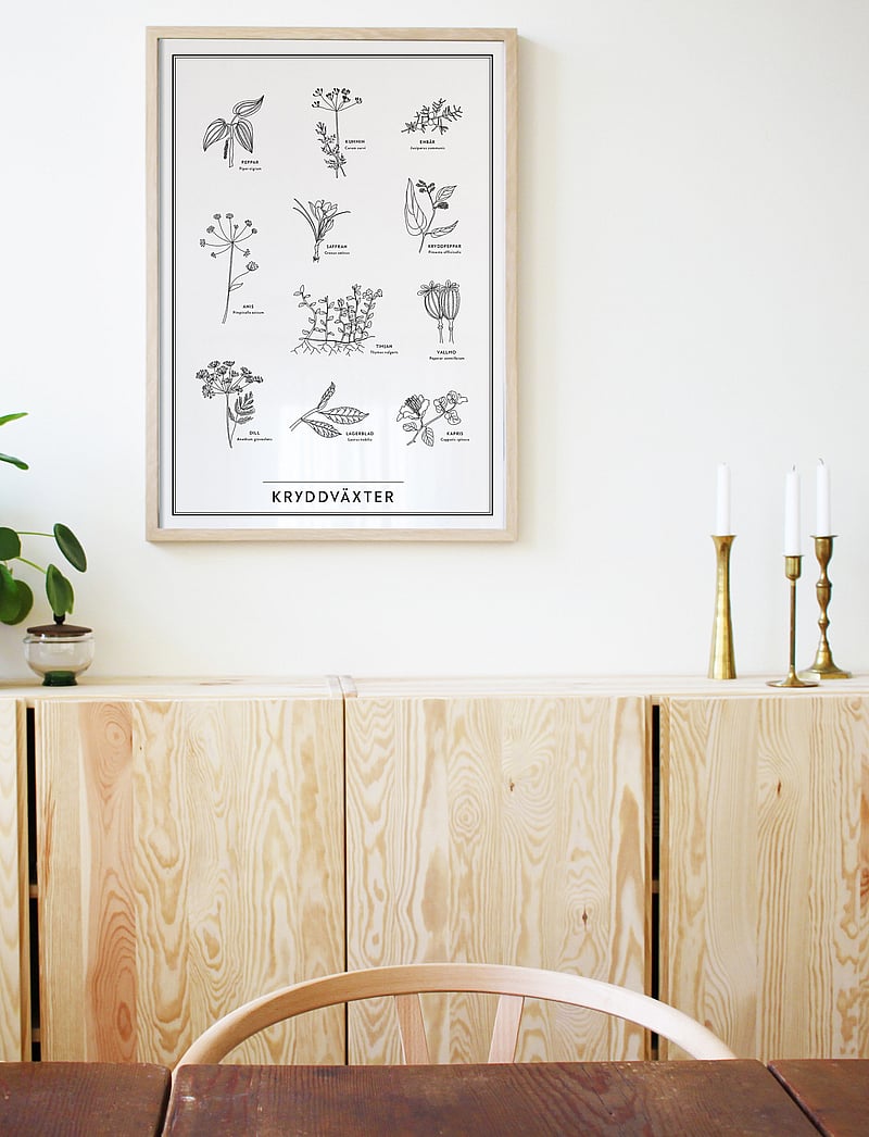 Kunskapstavlan® - Kryddväxter - natur - swedish - 1