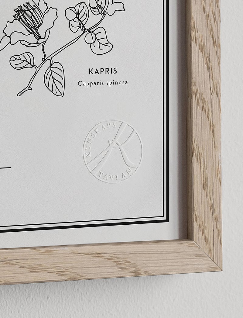 Kunskapstavlan® - Kryddväxter - natur - swedish - 2