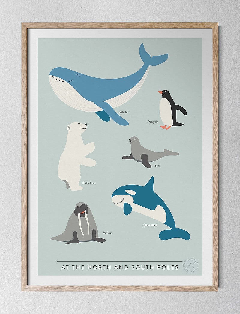 Kunskapstavlan® - At the North and South Poles - På engelska - tiere - english - 2