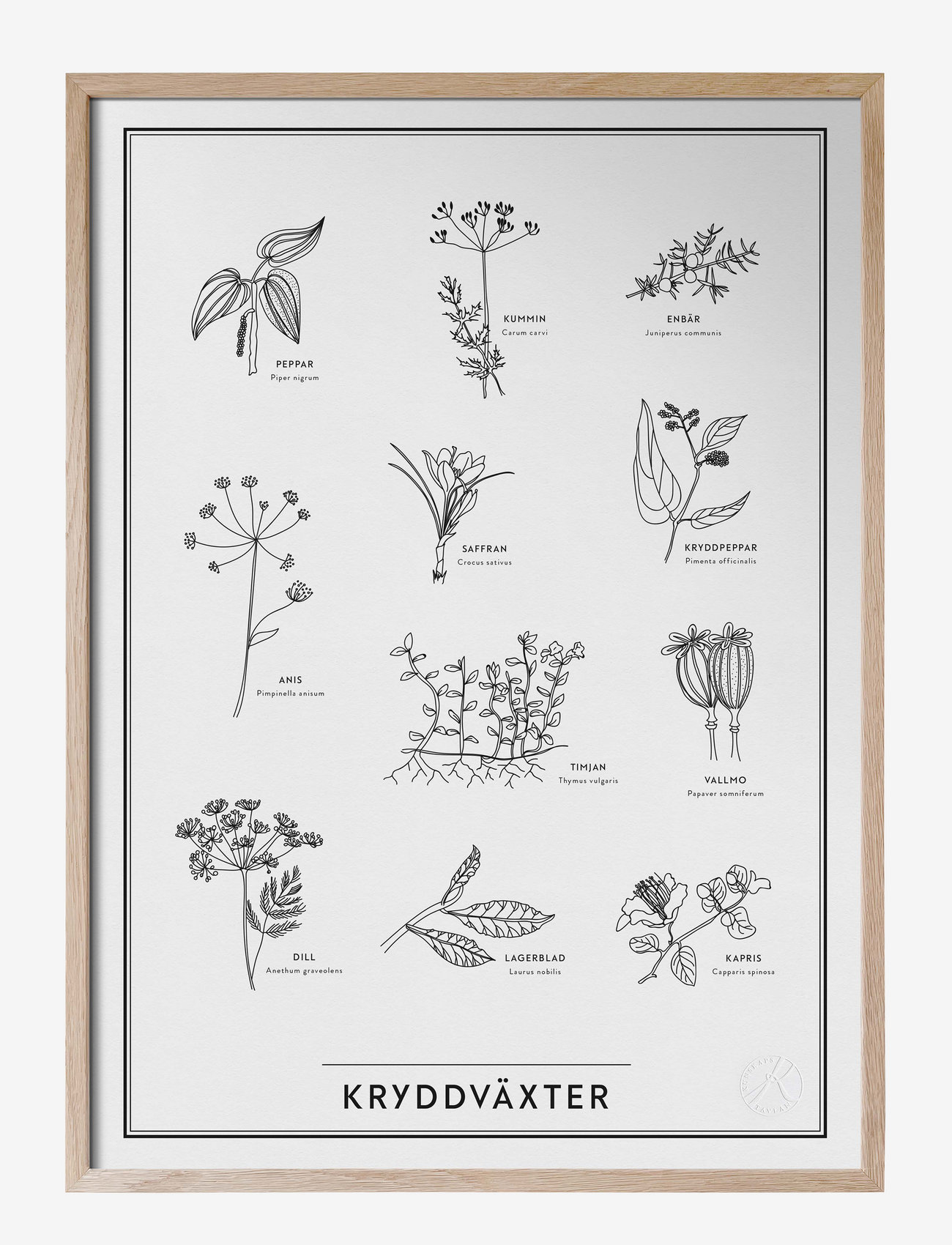 Kunskapstavlan® - Kryddväxter - natur - black & white - 1