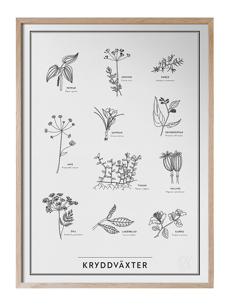 Kunskapstavlan® - Kryddväxter - loodus - black & white - 1