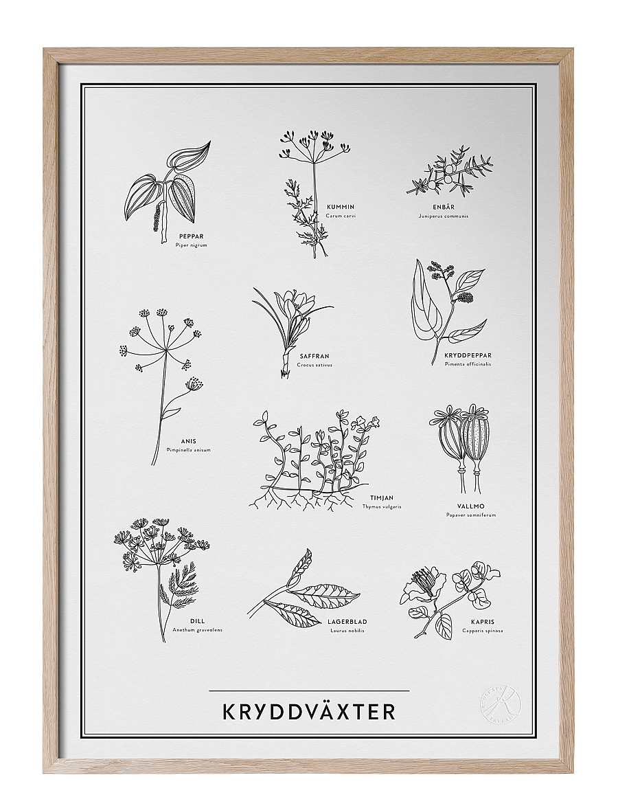 Kunskapstavlan® - Kryddväxter - madalaimad hinnad - black & white - 0