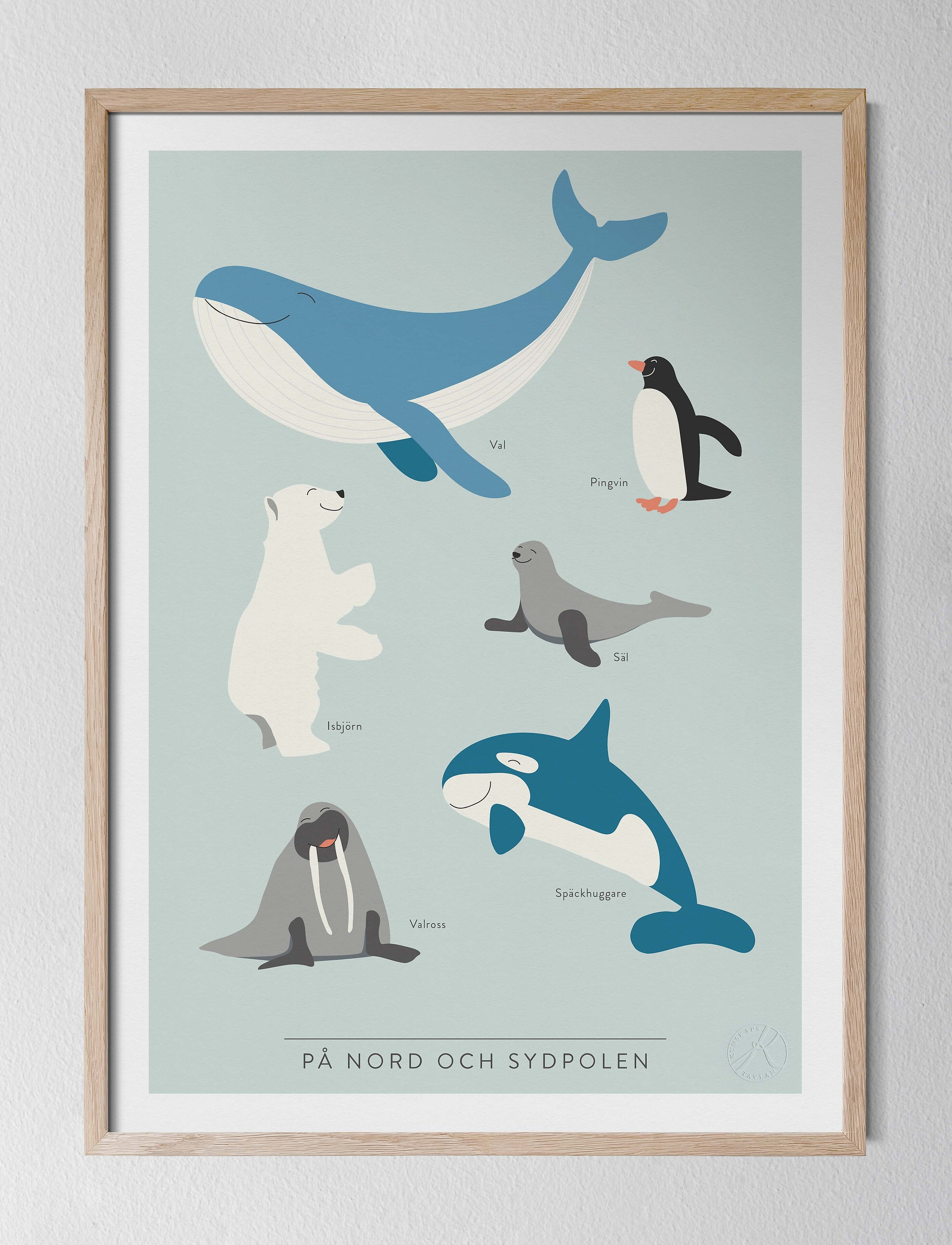 Kunskapstavlan På Nord- Och Sydpolen, 50X70 cm, Multi/patterned, Plakater Og Rammer > Plakater, Børn