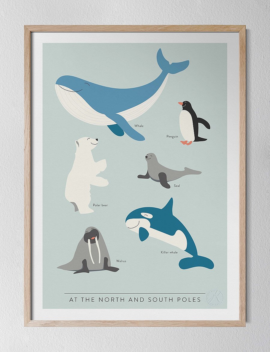 Kunskapstavlan® - At the North and South Poles - På engelska - die niedrigsten preise - english - 1
