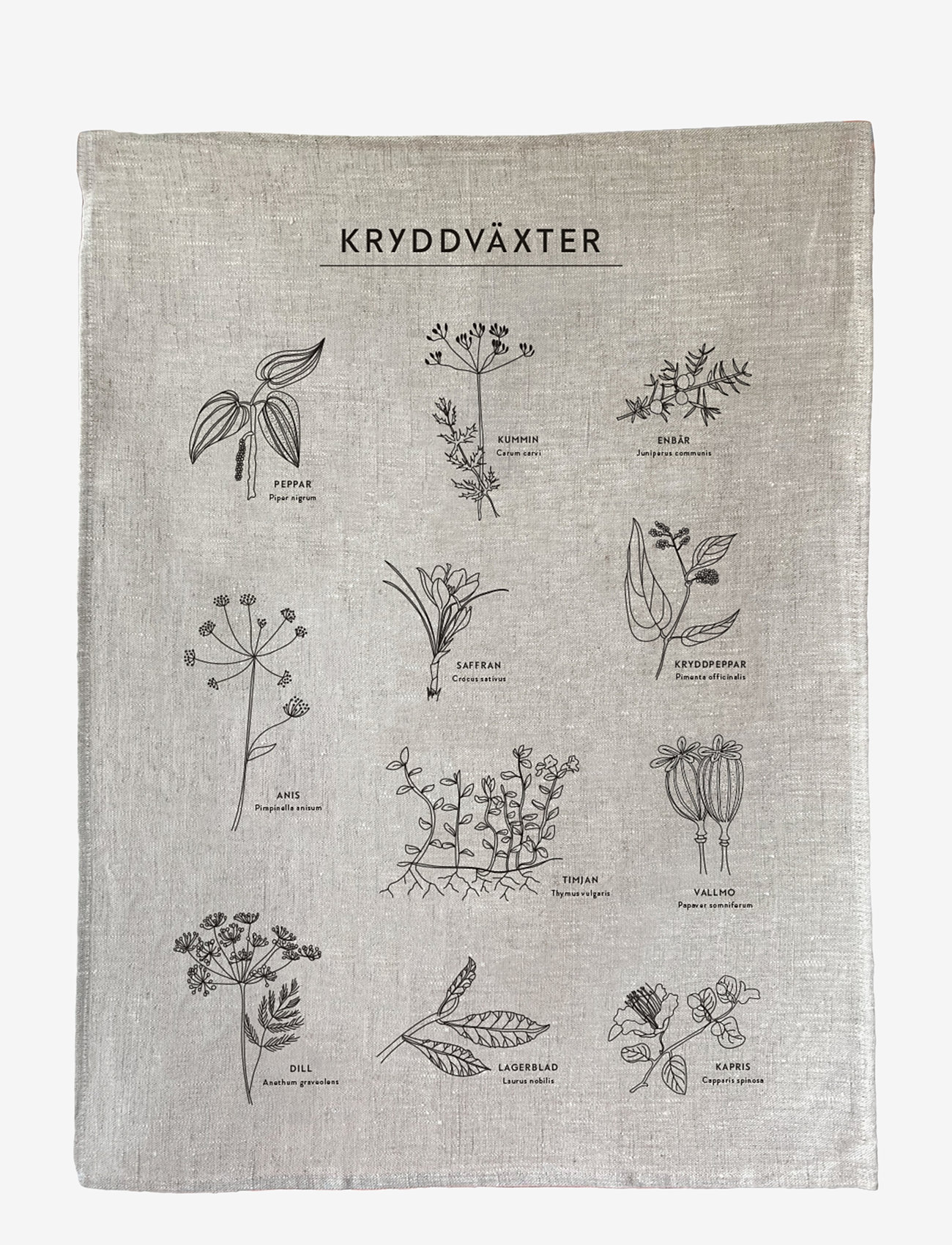 Kunskapstavlan® - Kökshandduk Kryddväxter - køb efter pris - multicolor - 1