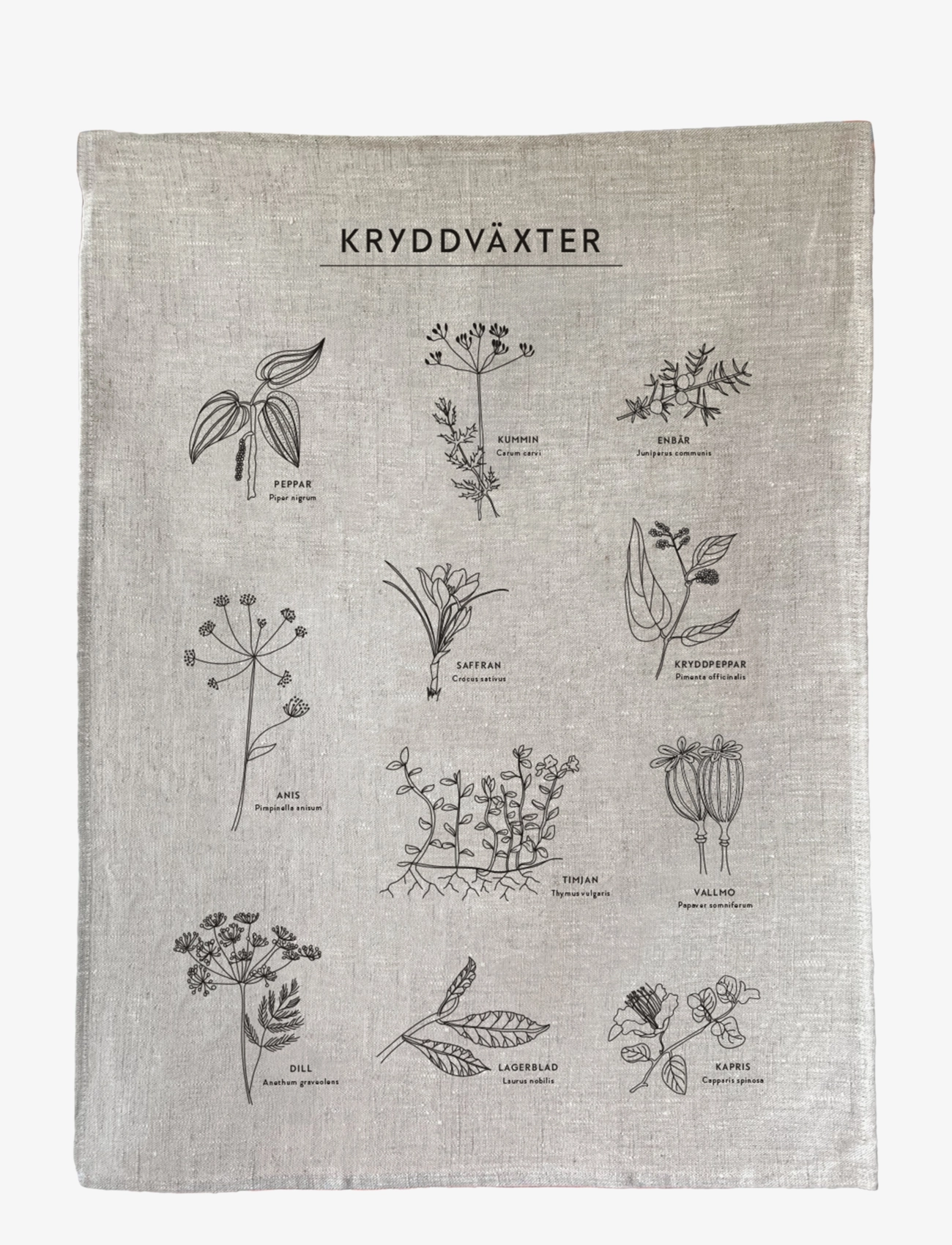 Kunskapstavlan® - Kökshandduk Kryddväxter - lowest prices - multicolor - 1