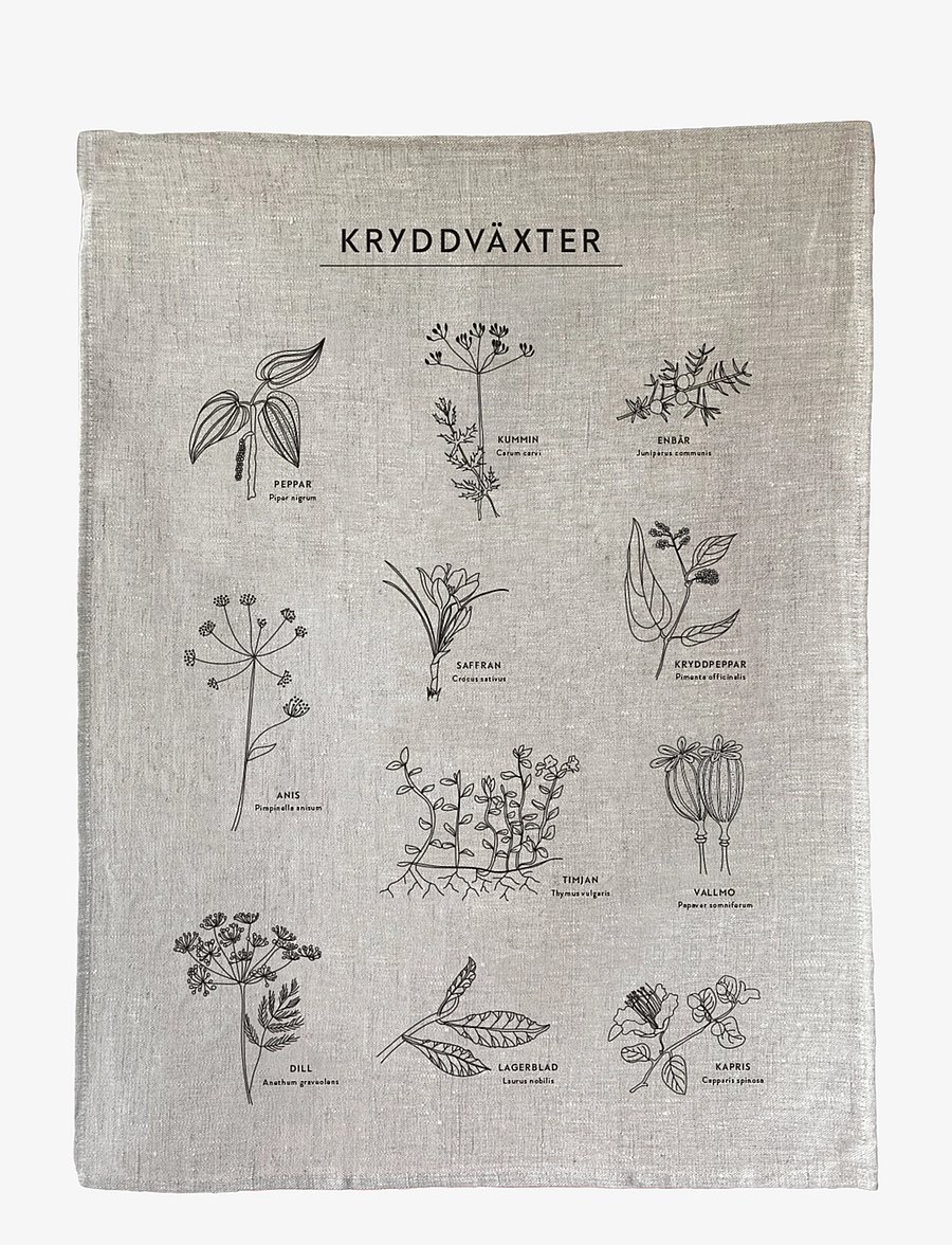 Kunskapstavlan® - Kökshandduk Kryddväxter - köögirätikud - multicolor - 2