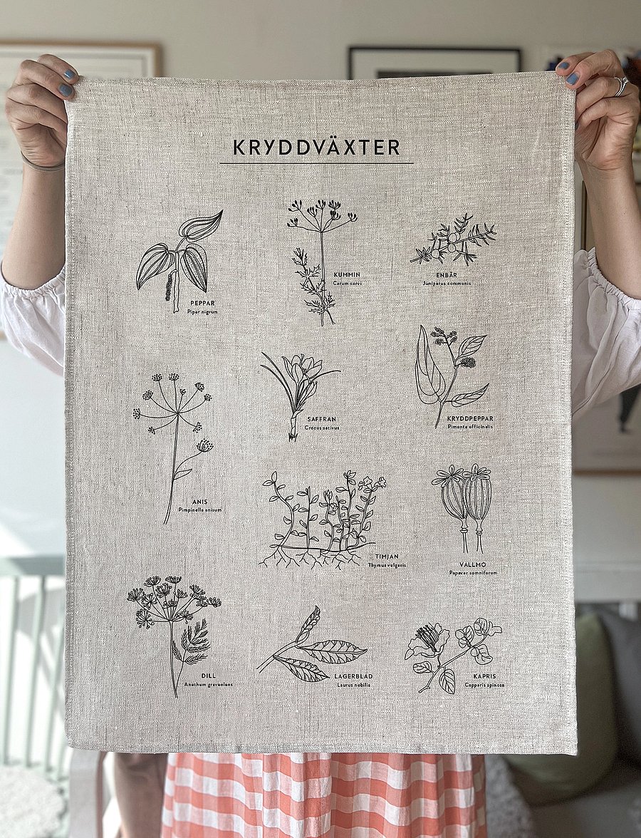 Kunskapstavlan® - Kökshandduk Kryddväxter - köögirätikud - multicolor - 3