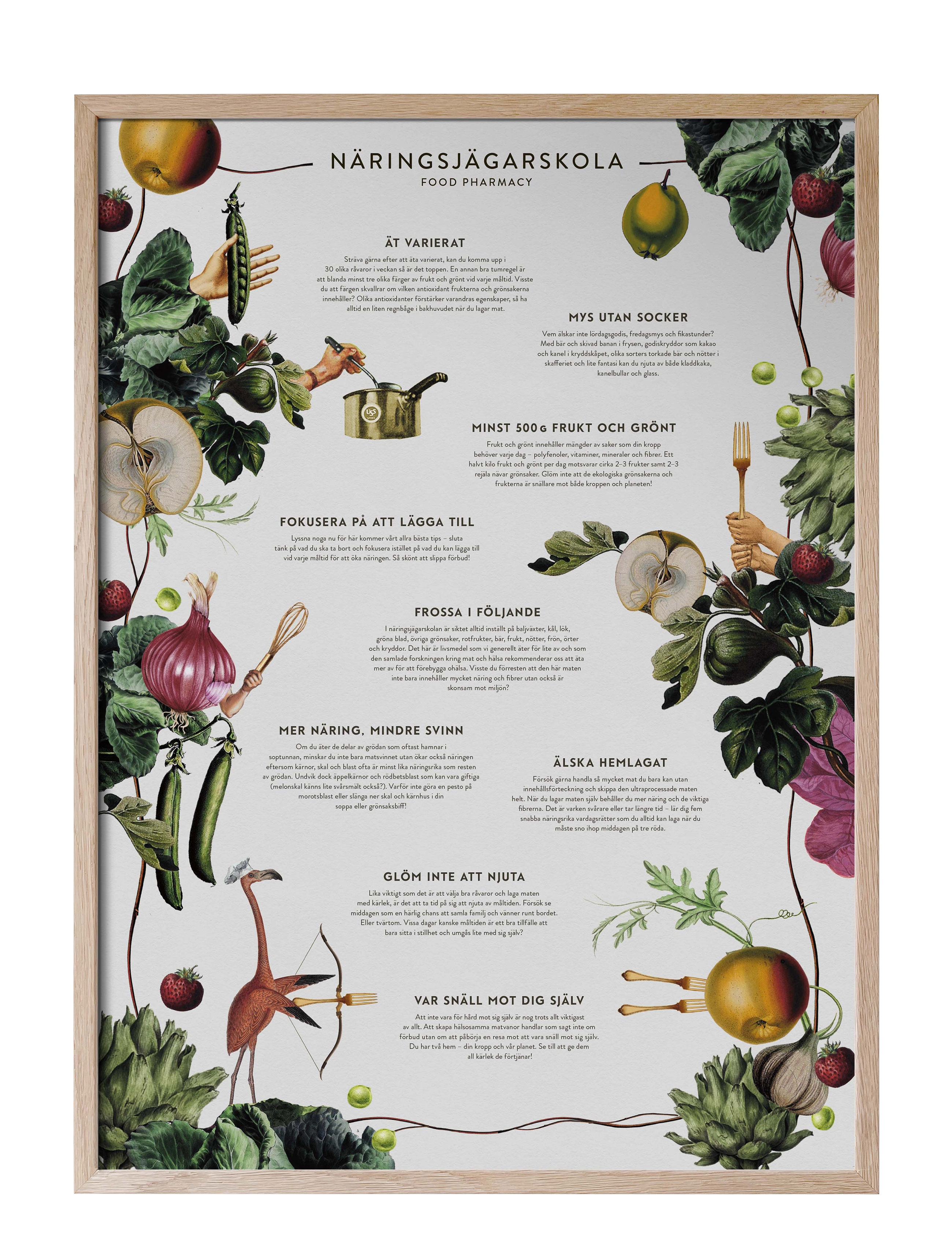 Kunskapstavlan® Food Pharmacy Näringsjägarskola - Kunskapstavlan - MULTICOLOR / white