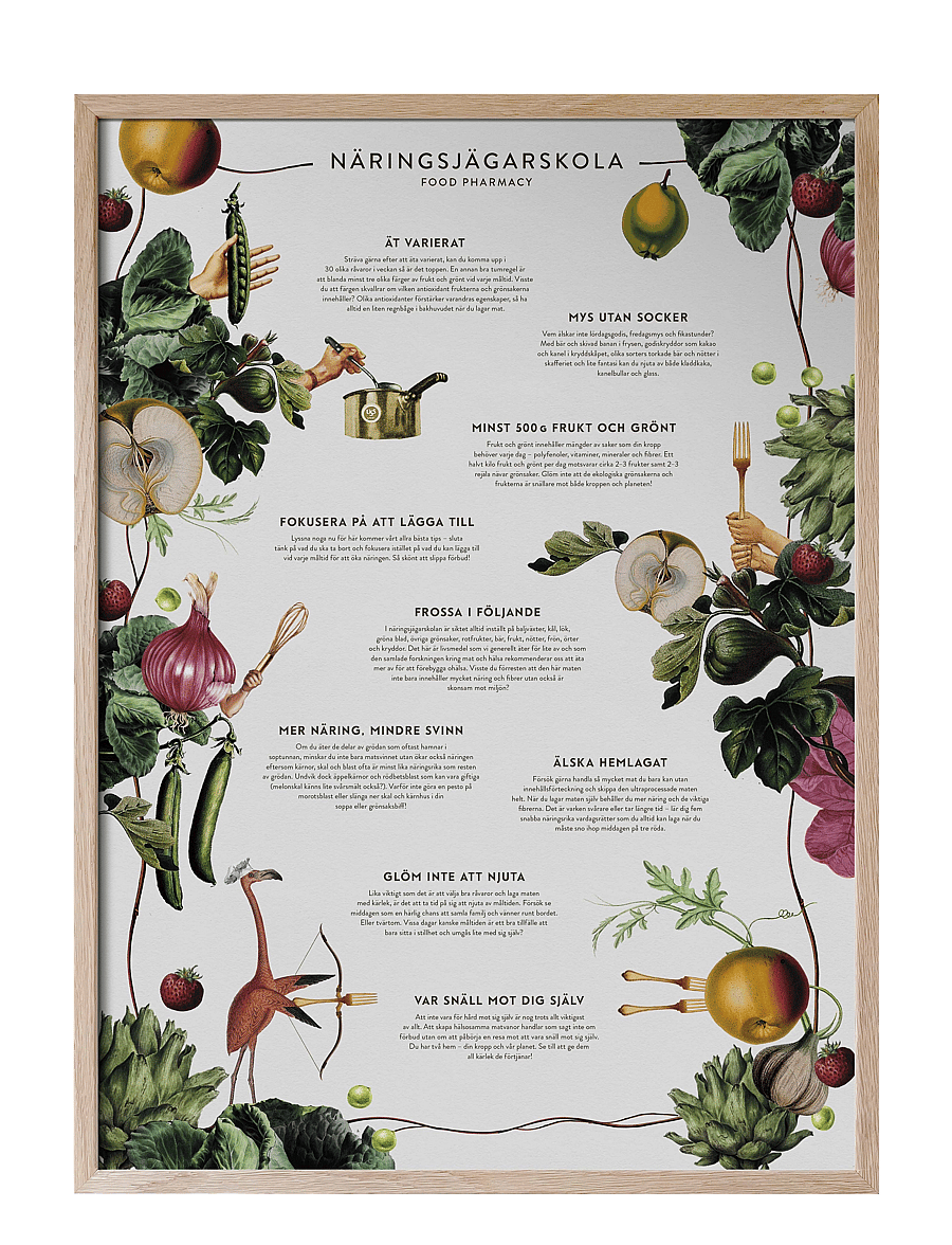 Kunskapstavlan® - Food Pharmacy Näringsjägarskola - essen - multicolor - 1