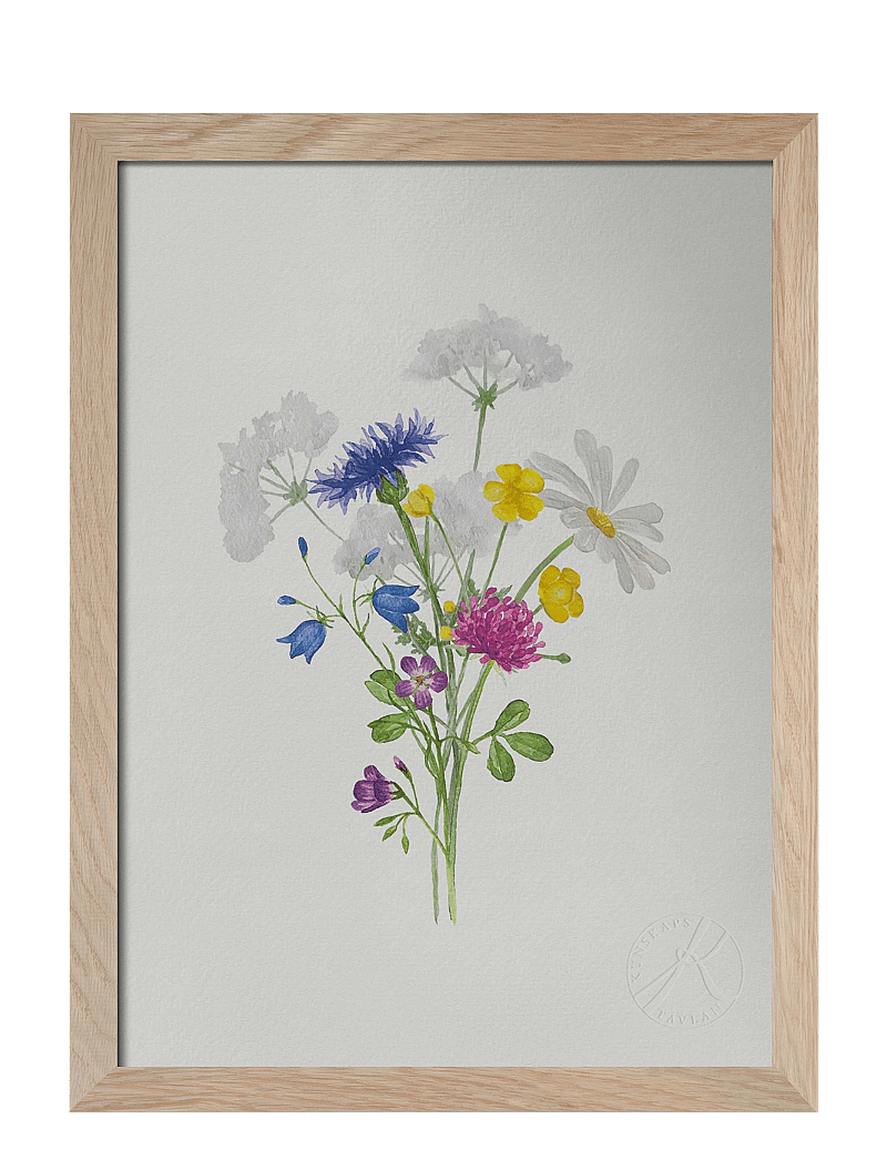 Kunskapstavlan® - Sju sorters blommor - botanik - multicolor - 1