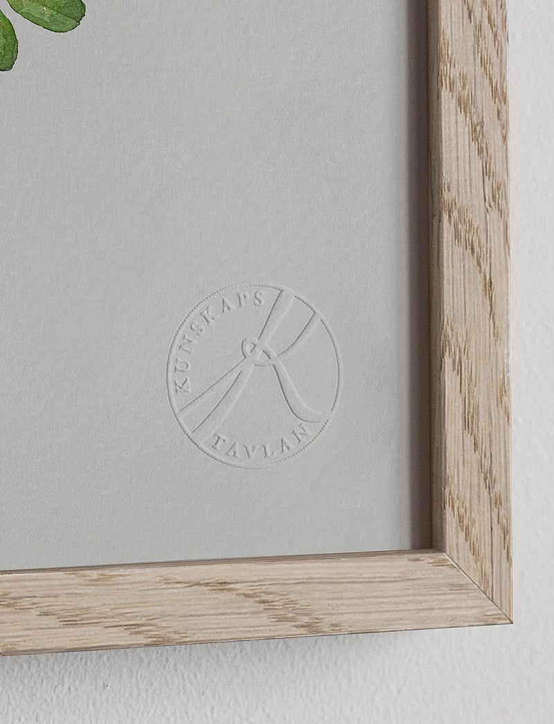 Kunskapstavlan® - Sju sorters blommor - botanik - multicolor - 3