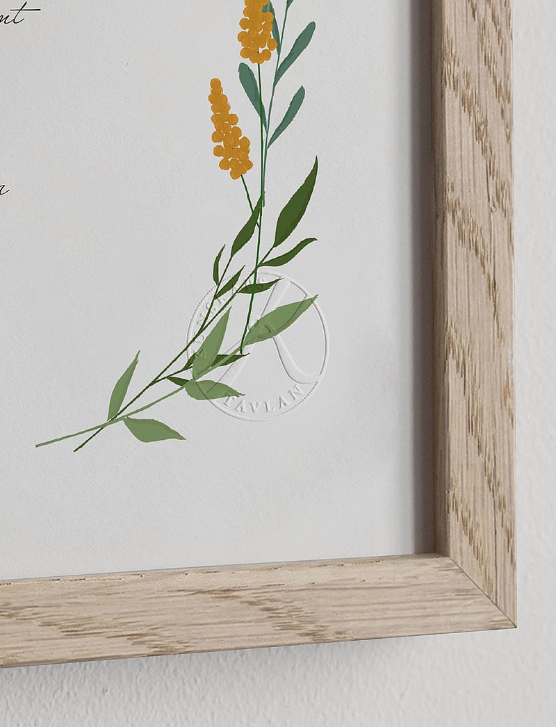 Kunskapstavlan® - Bröllopsdagar - köp efter pris - multicolor - 2