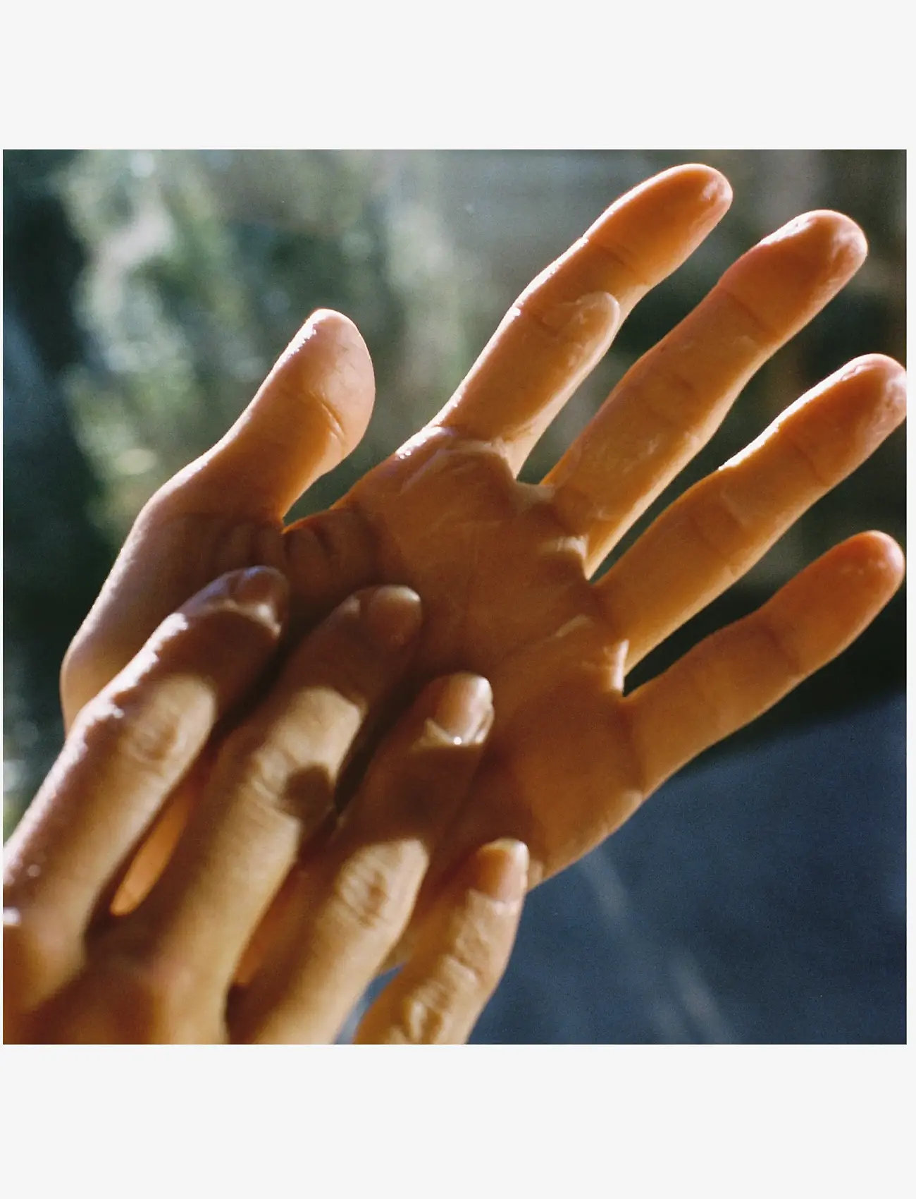 L:a Bruket - 221 Hand Cream Spruce - hand cream - clear - 1