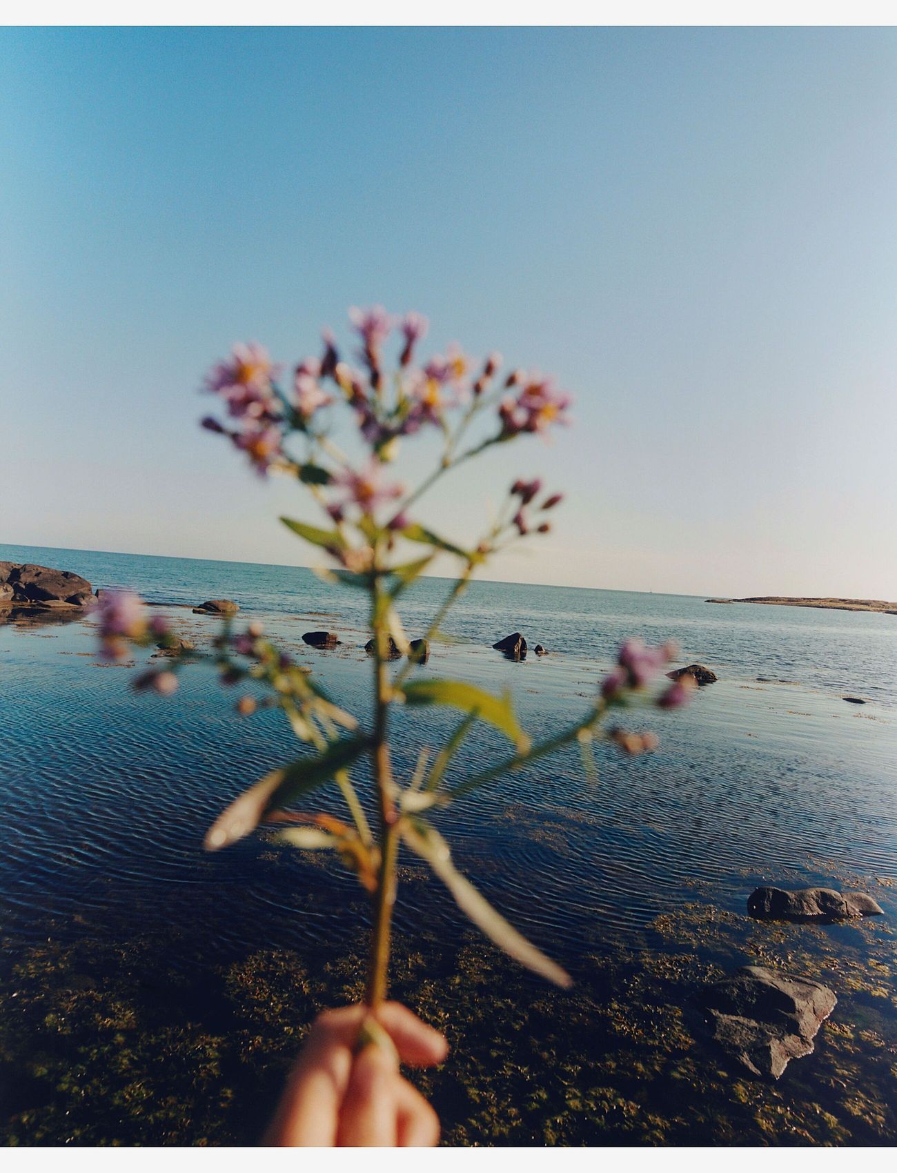 L:a Bruket - 276 Refill Essential Cleansing Oil - valomosios putos - clear - 2