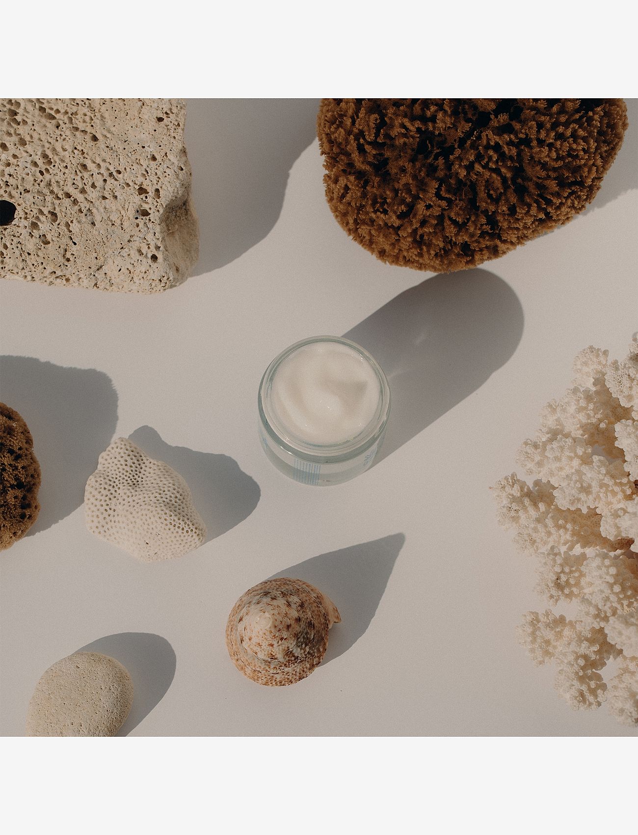 La Compagnie de Provence - SORBET CREAM VELVET SEAWEED  50 ML - dagkräm - clear - 3