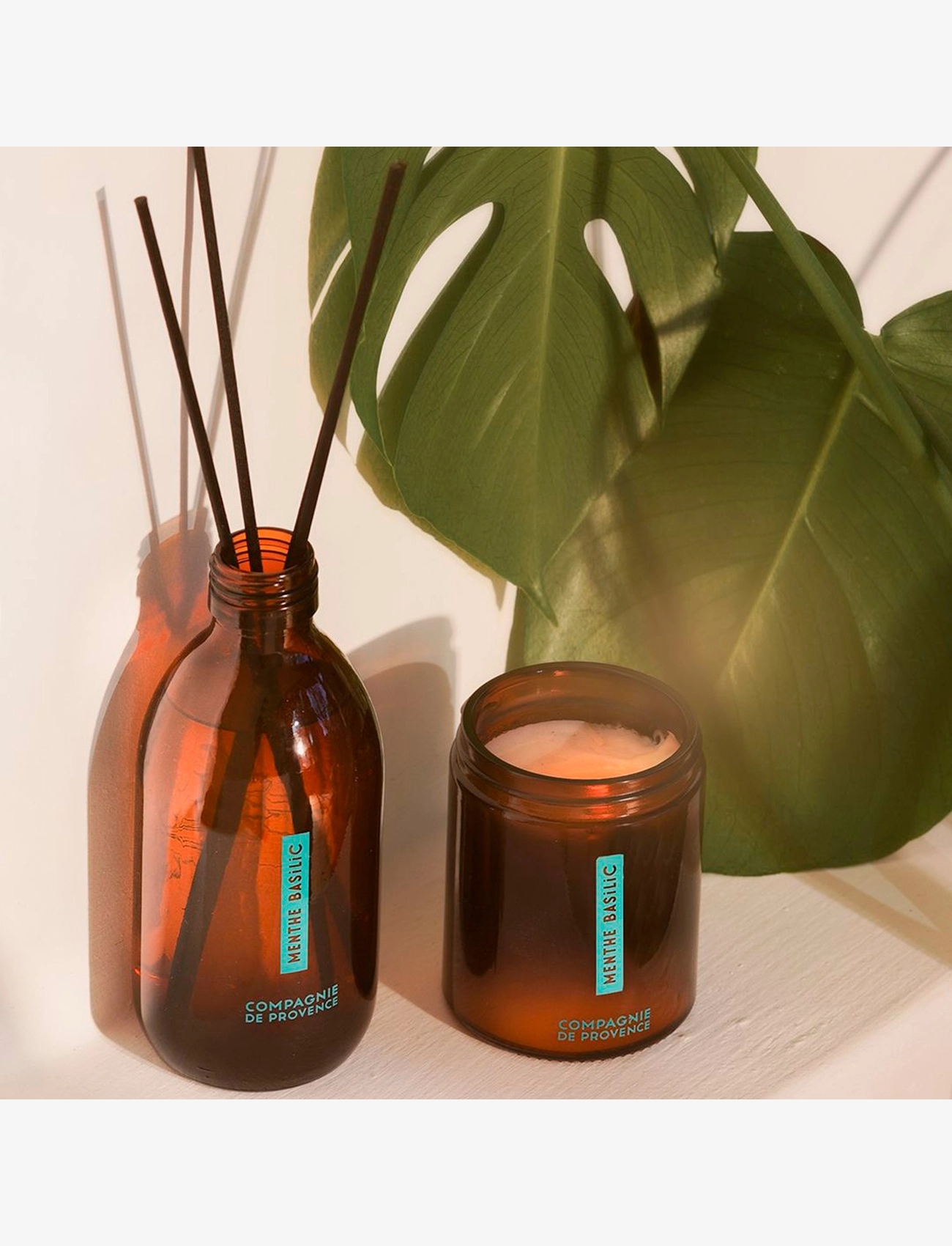 La Compagnie de Provence - FRAGRANCE DIFFUSER MINT BASIL 220 ML - doftpinnar - clear - 2