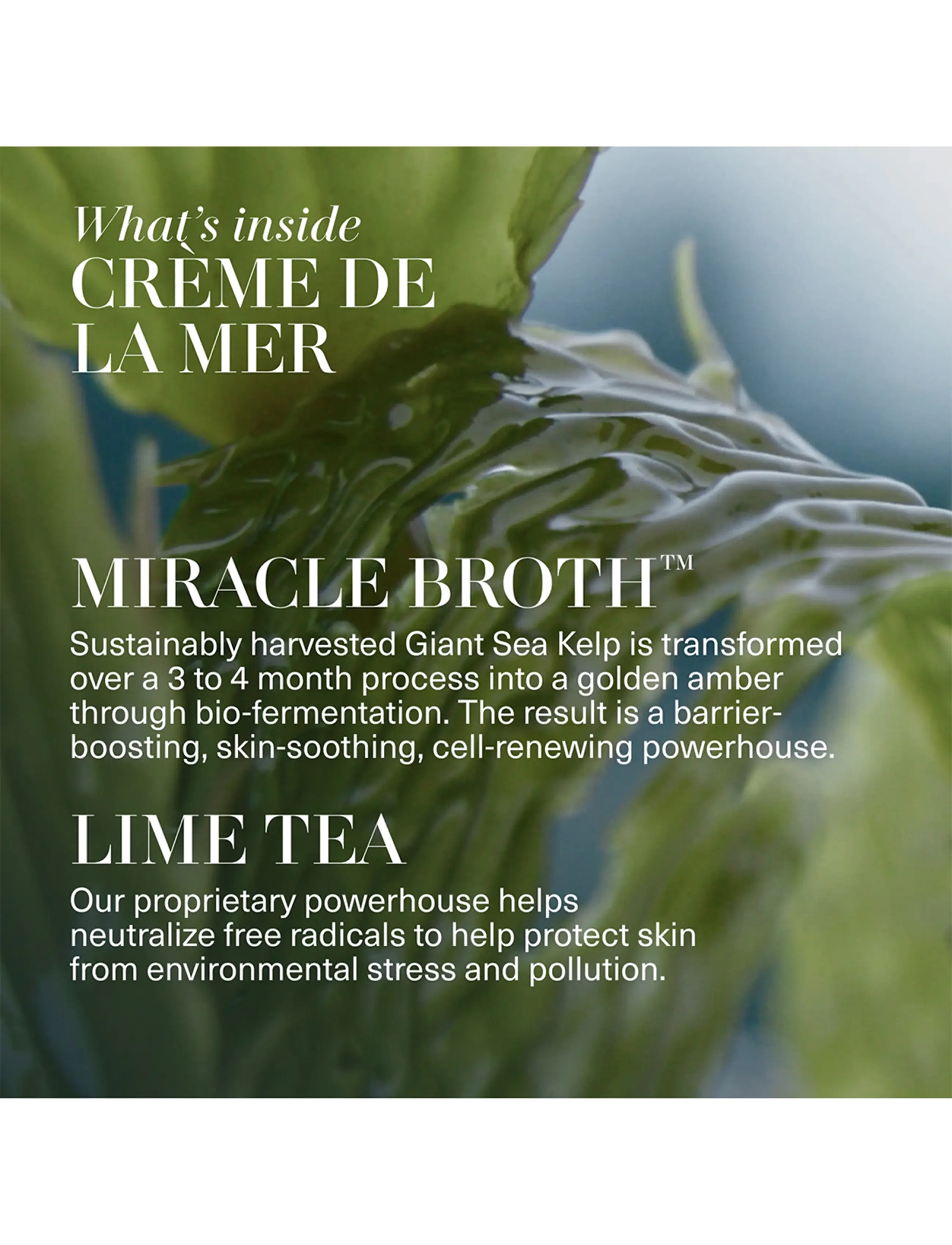 La Mer - THE CALMING HYDRATION COLLECTION - no color - 5