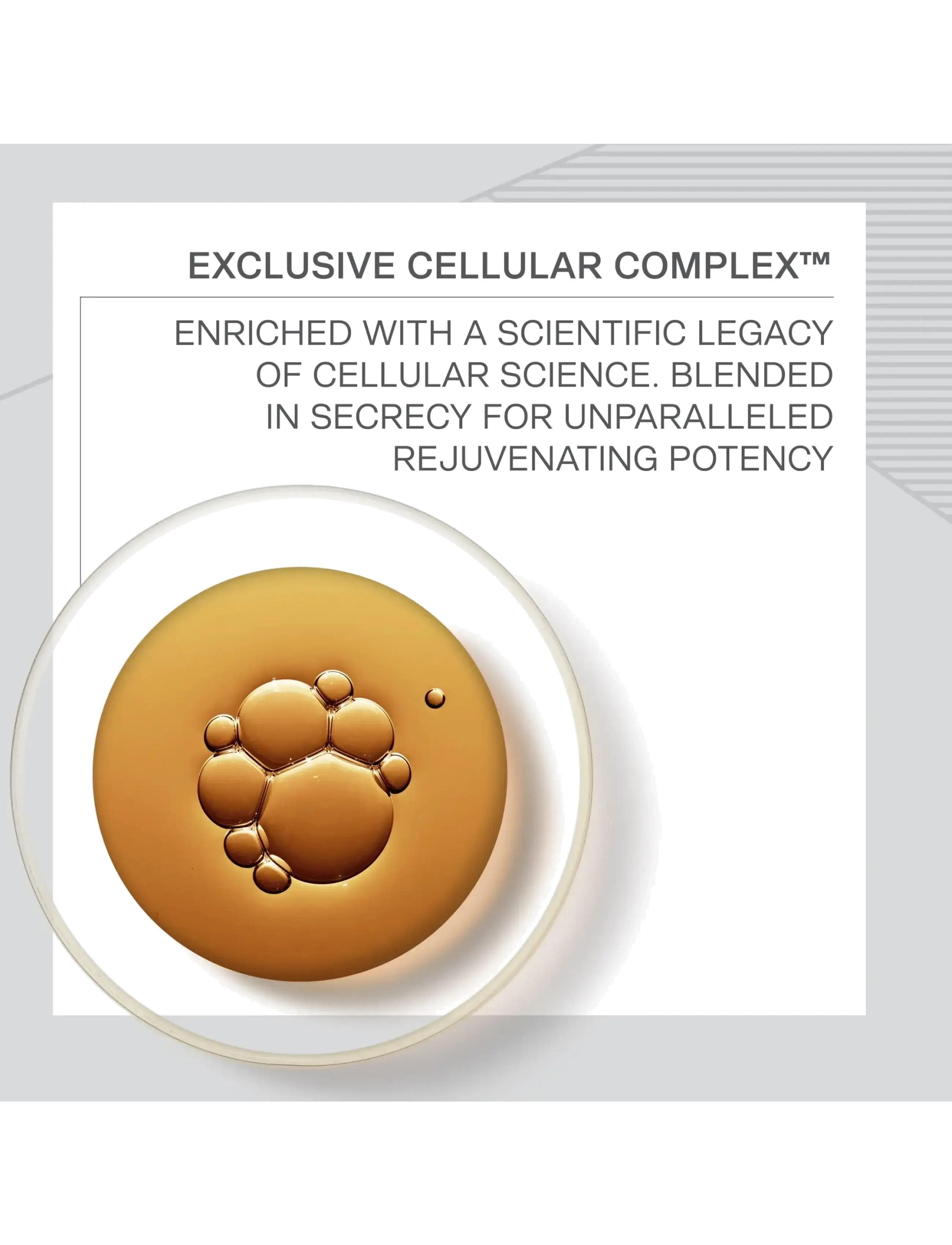 La Prairie - SKIN CAVIAR ESSENCE OF SKIN CAVIAR EYE COMPLEX - Øyekrem - no color - 3