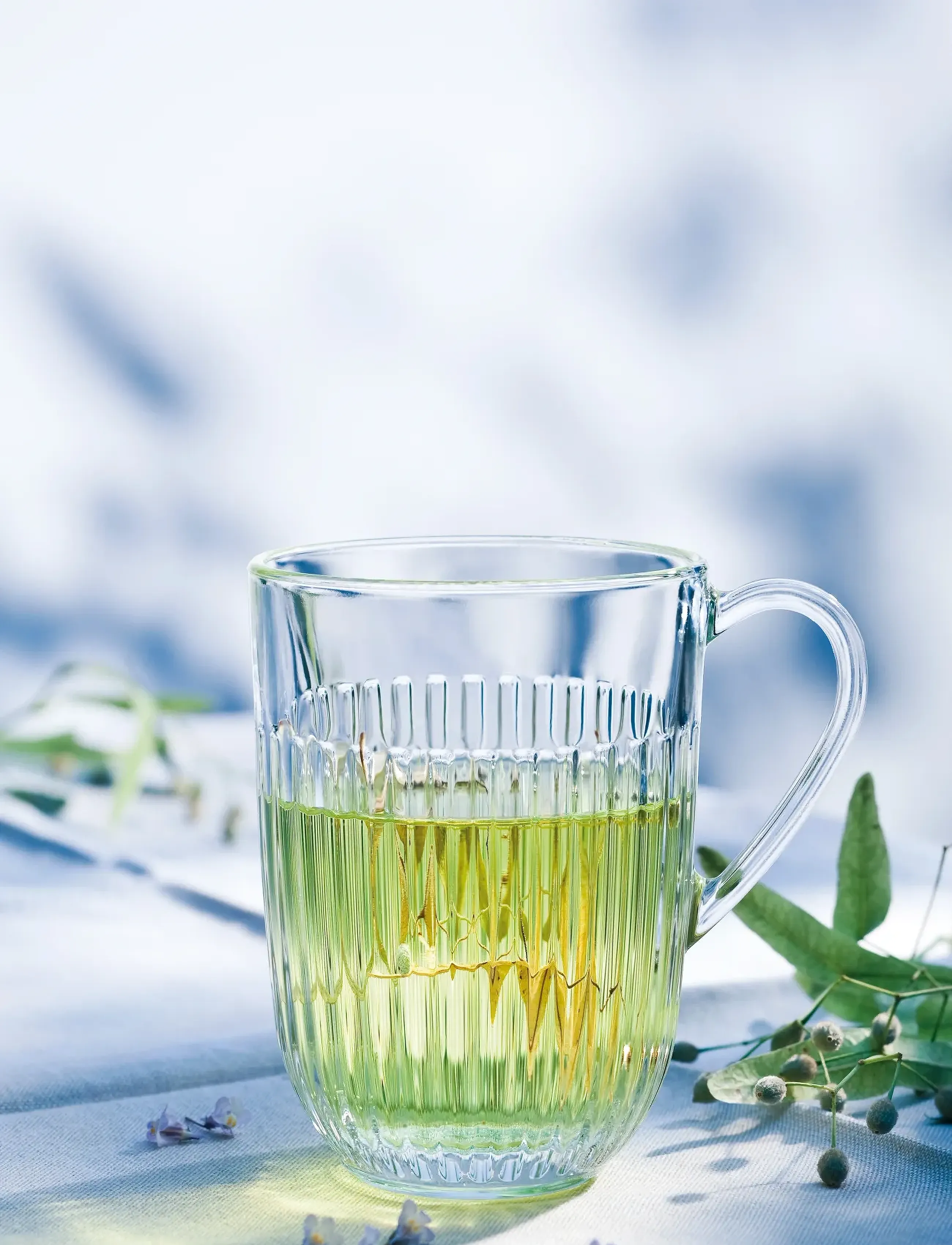La Rochére - La Rochère Mug Ouessant, 6 pcs - tea cups - clear - 3